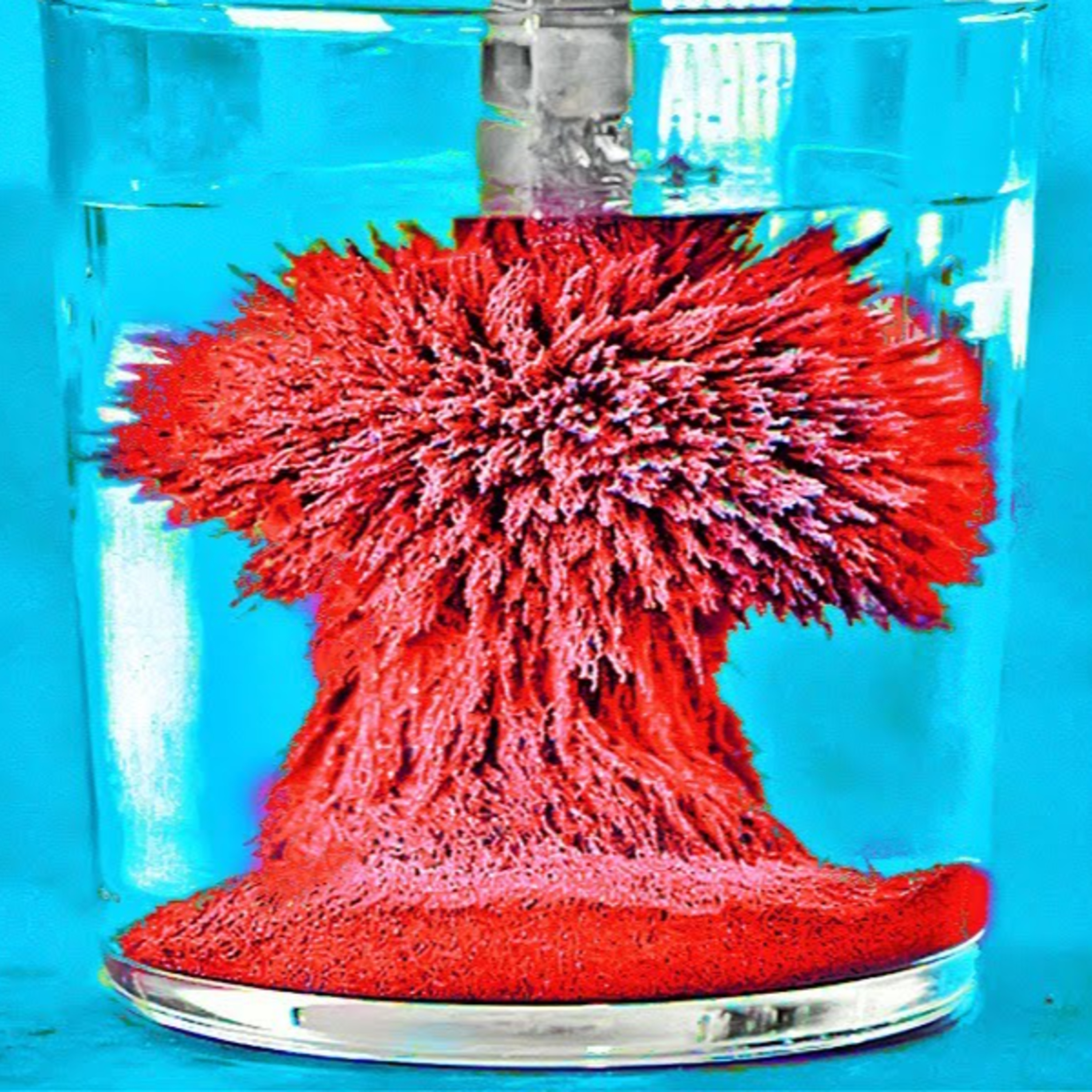 #Radioscopio - Experimentos en vivo episode artwork
