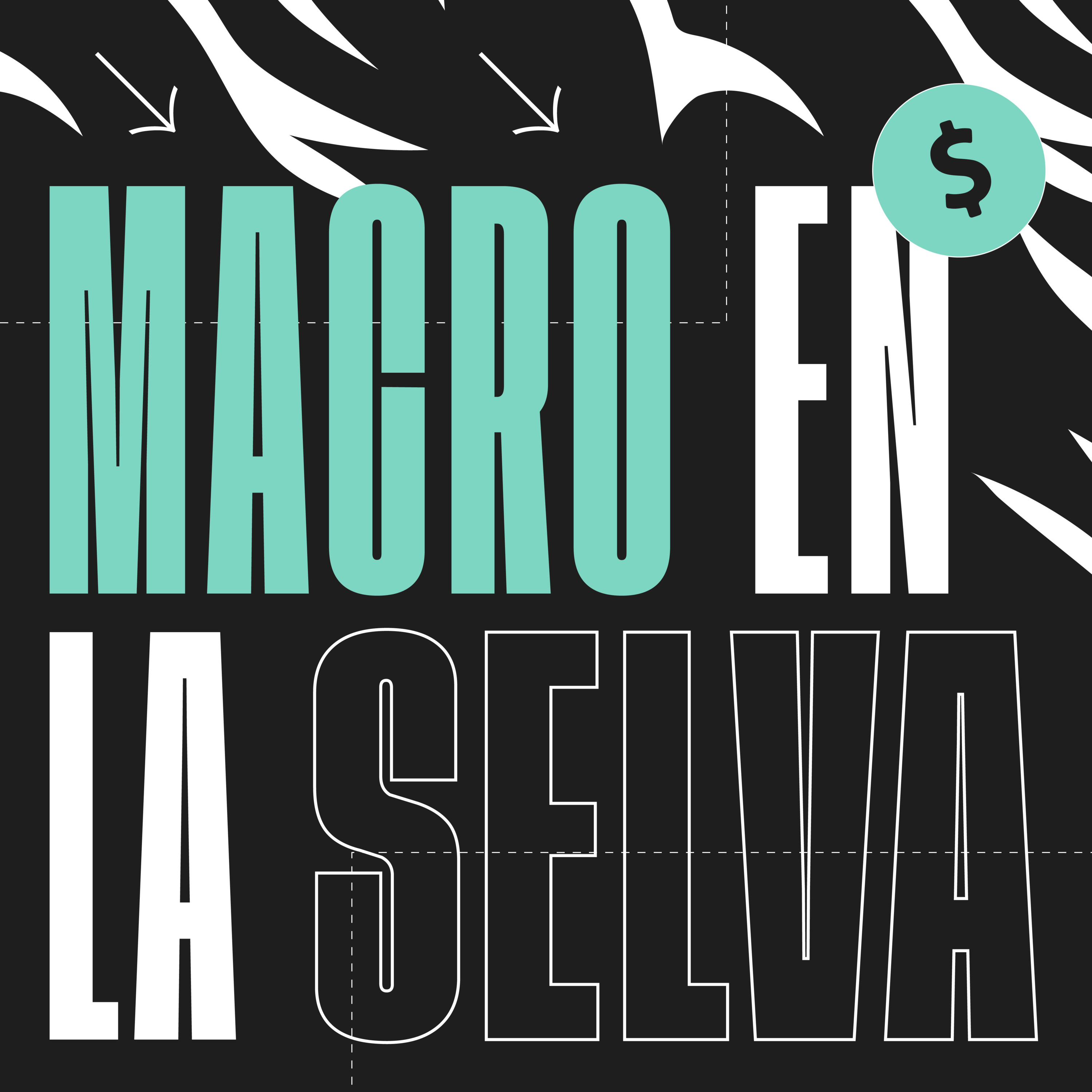 Macro en la Selva - ¿Qué señales le damos al mundo? episode artwork