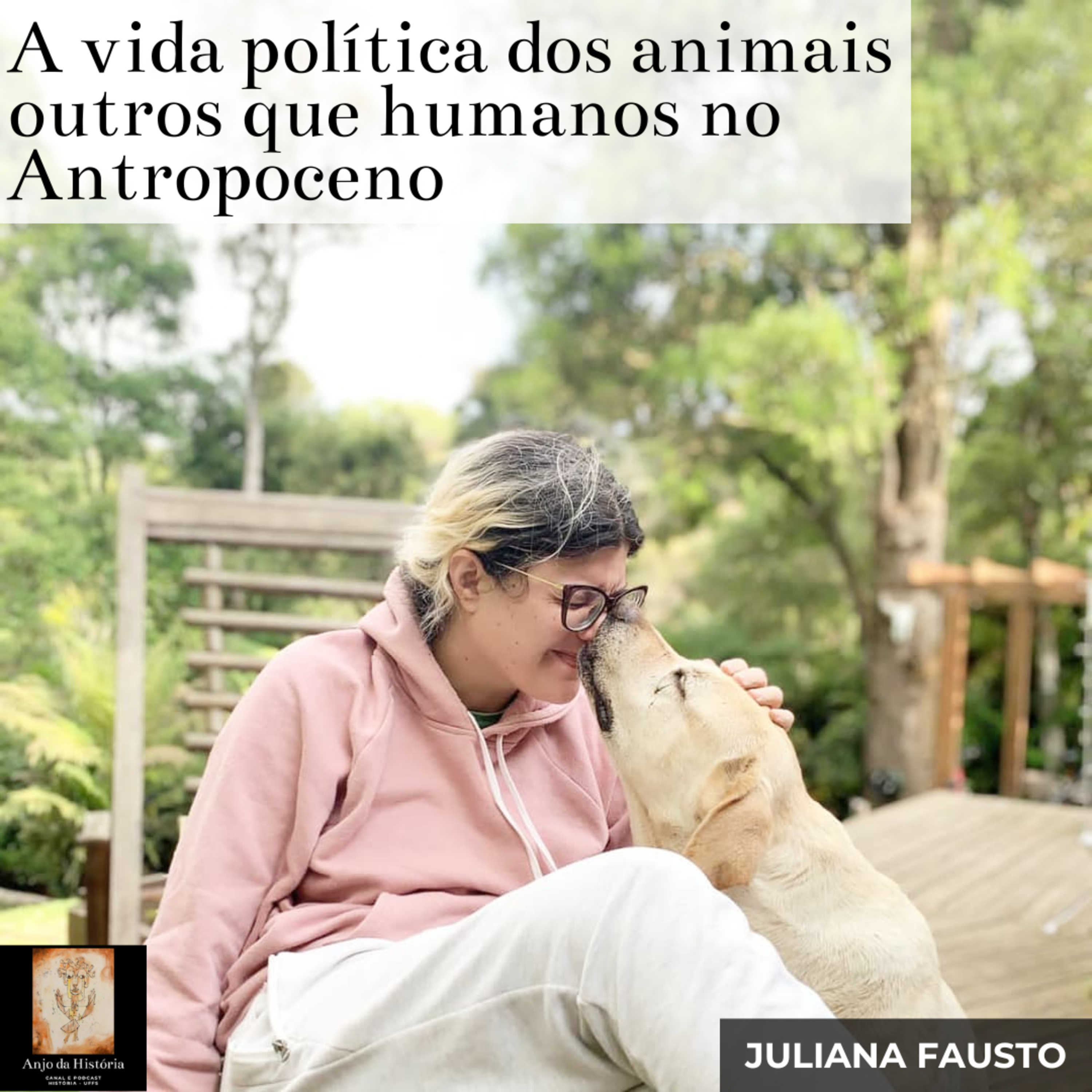 Anjo da História