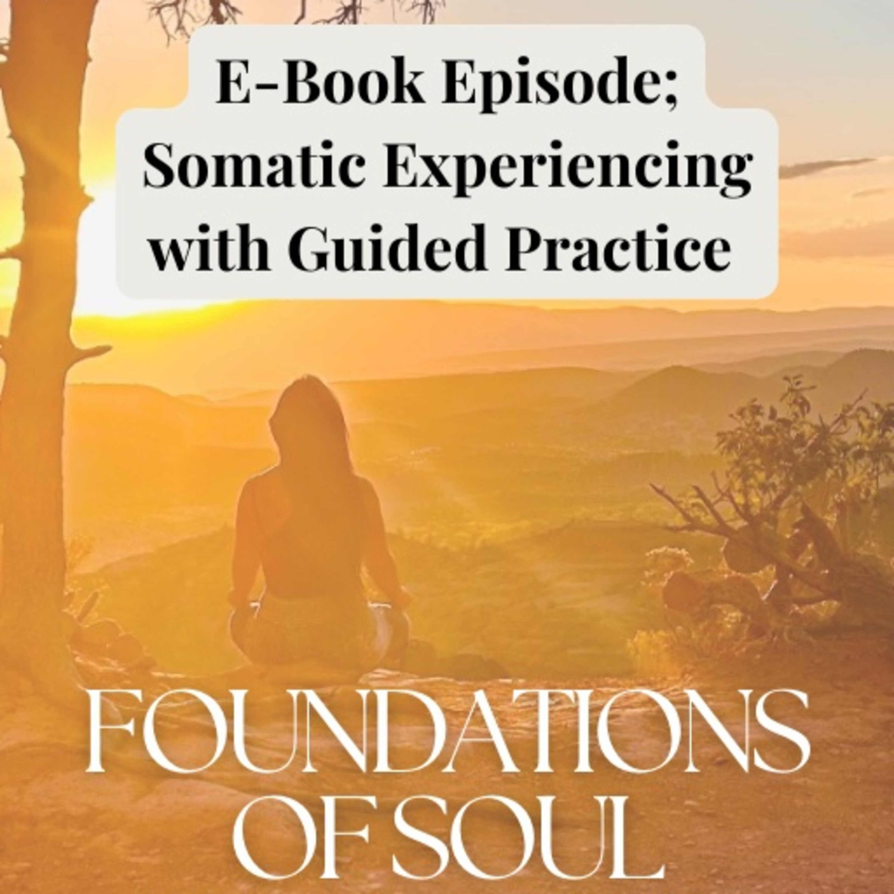 The Big Little Soul Podcast