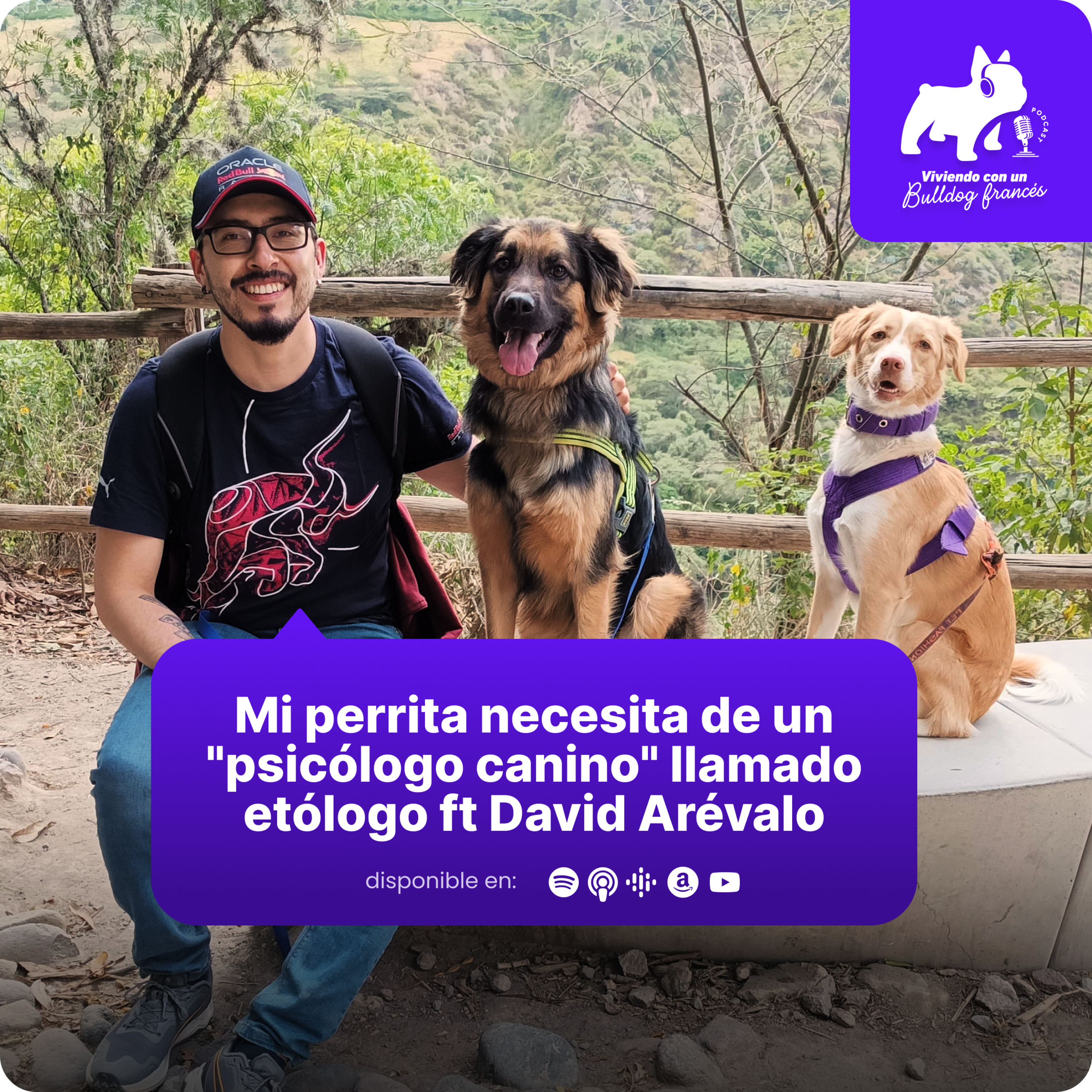 Viviendo con un bulldog francés