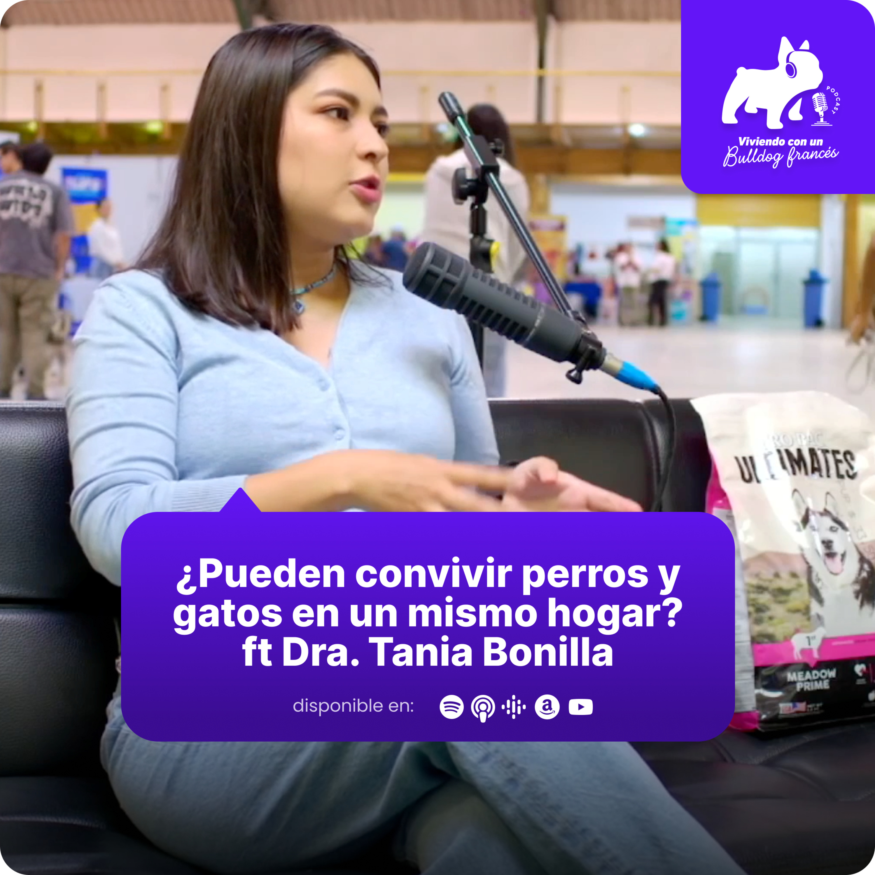 Viviendo con un bulldog francés