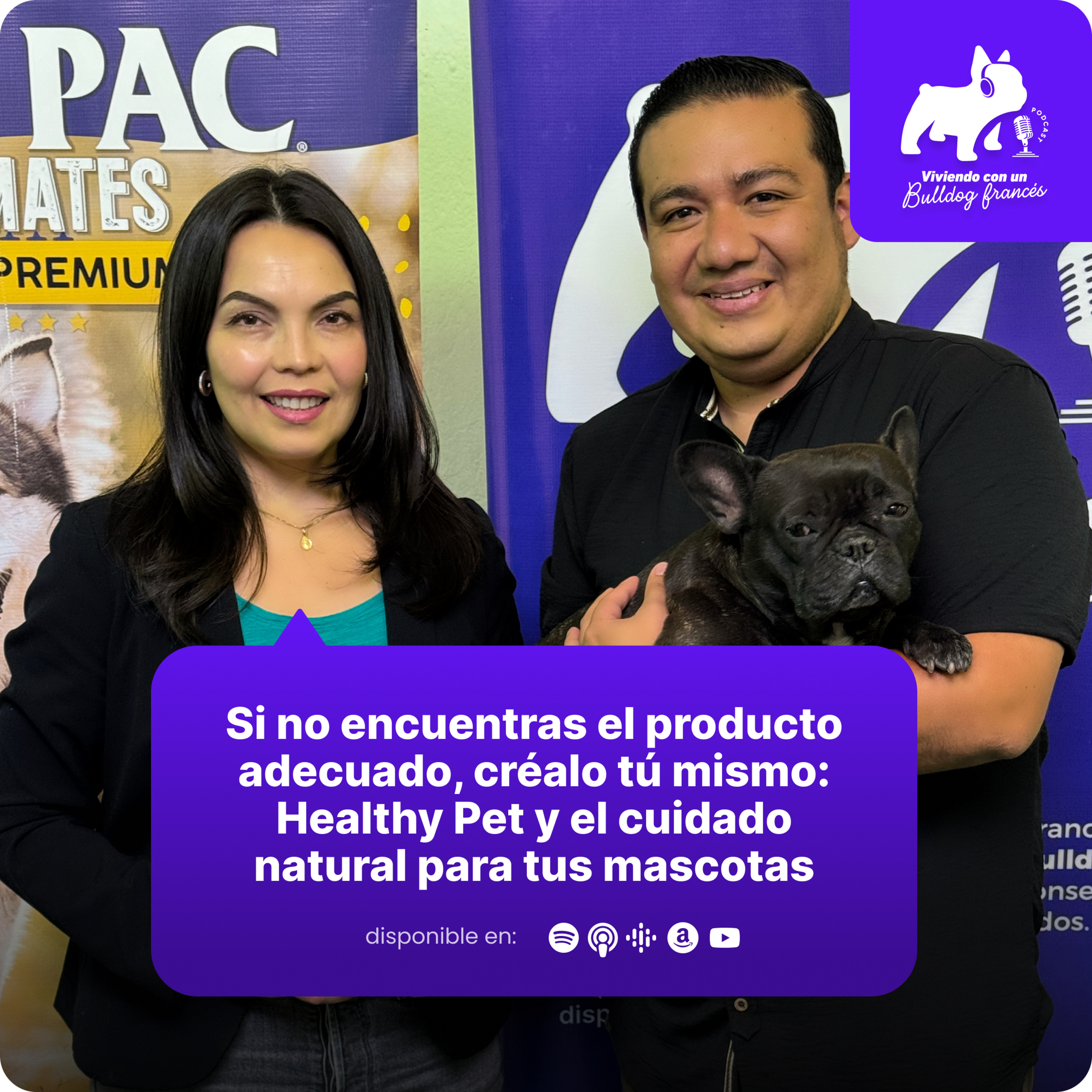 Viviendo con un bulldog francés