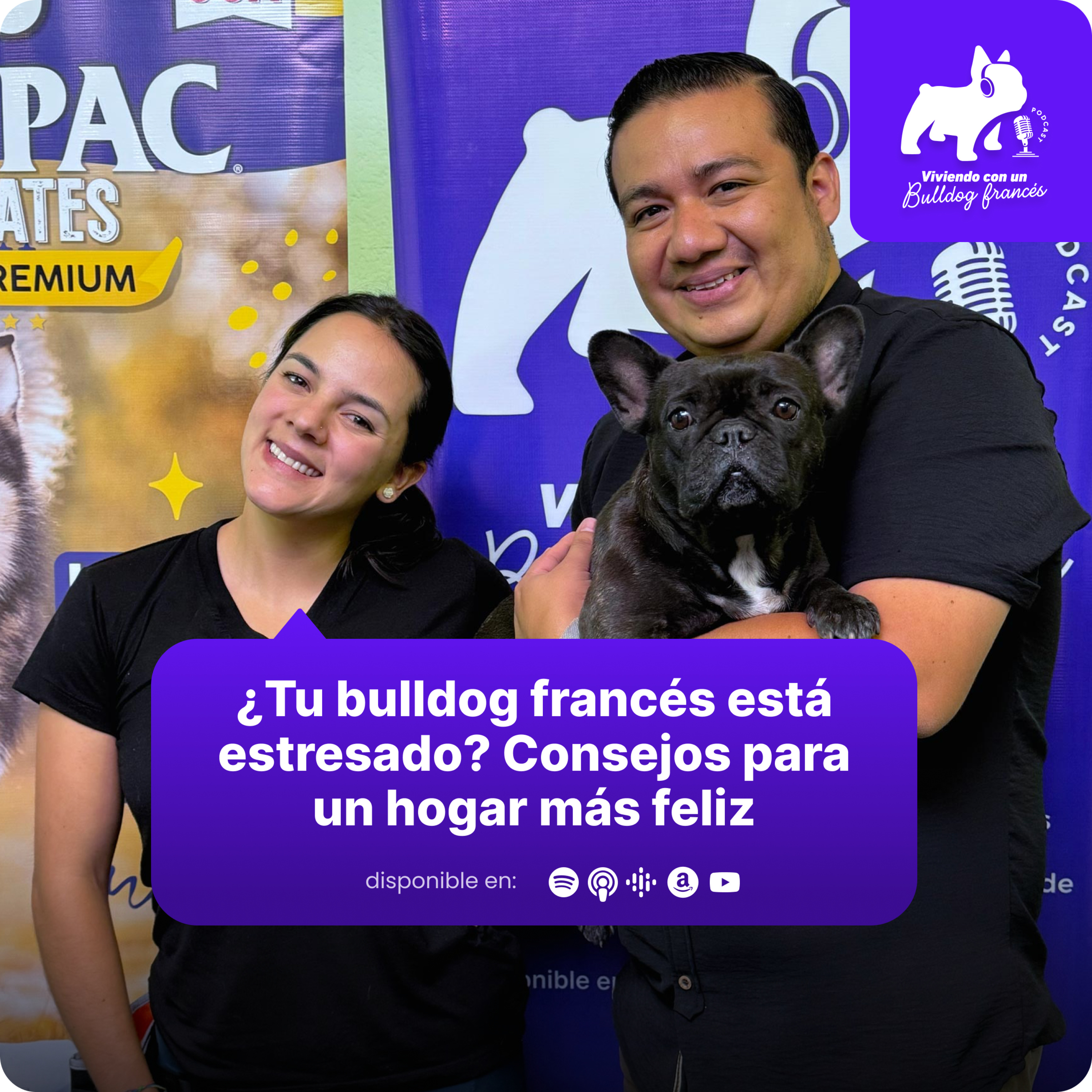 Viviendo con un bulldog francés