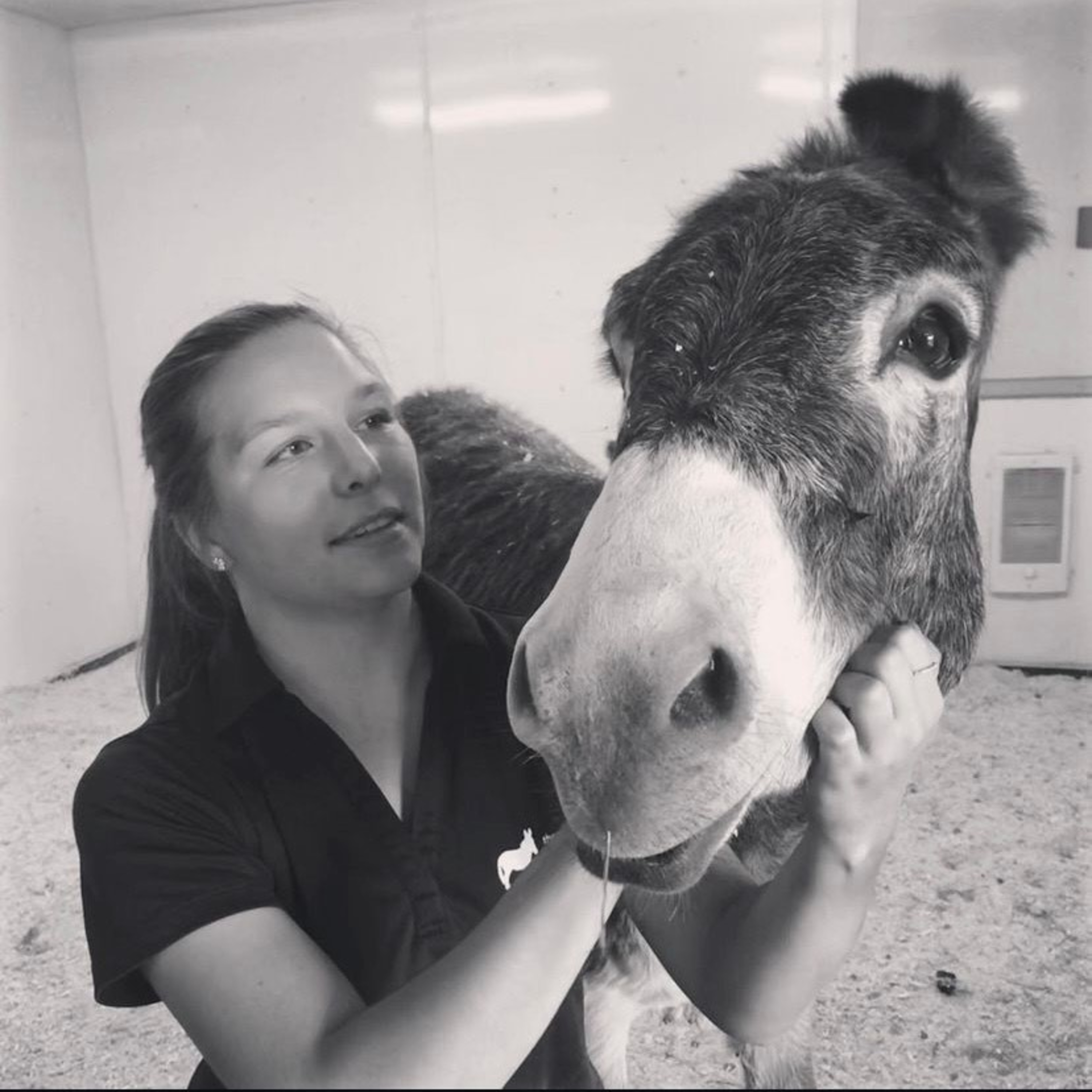 Small Talk Podcast with Chris & Marlene, with special guest: Grace Sant, The Donkey Sanctuary of Canada, Episode #6, June 30th, 2026  episode artwork