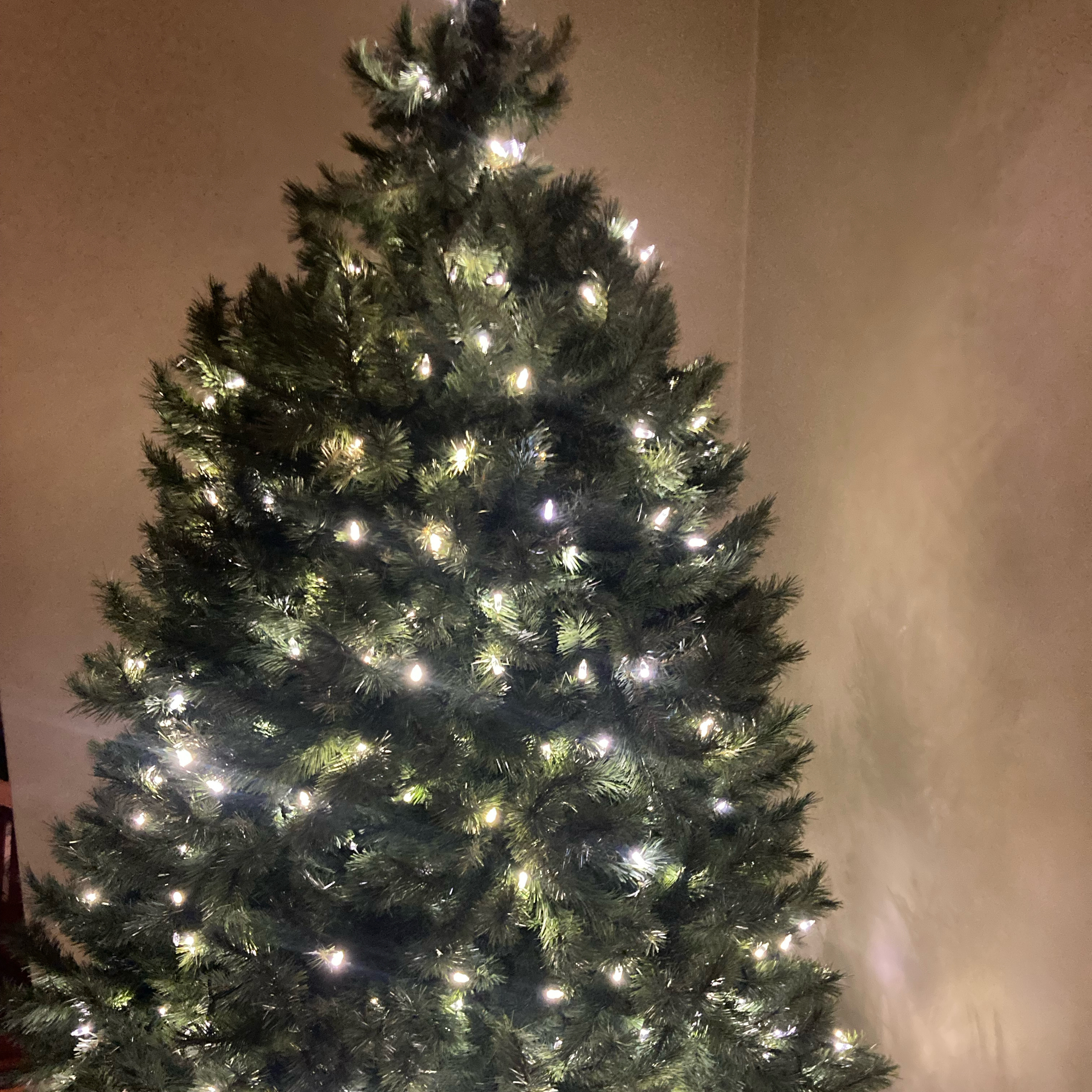 1.009k~TOTD #505📺Shows HOF or Not❓Winter House season two pt 3