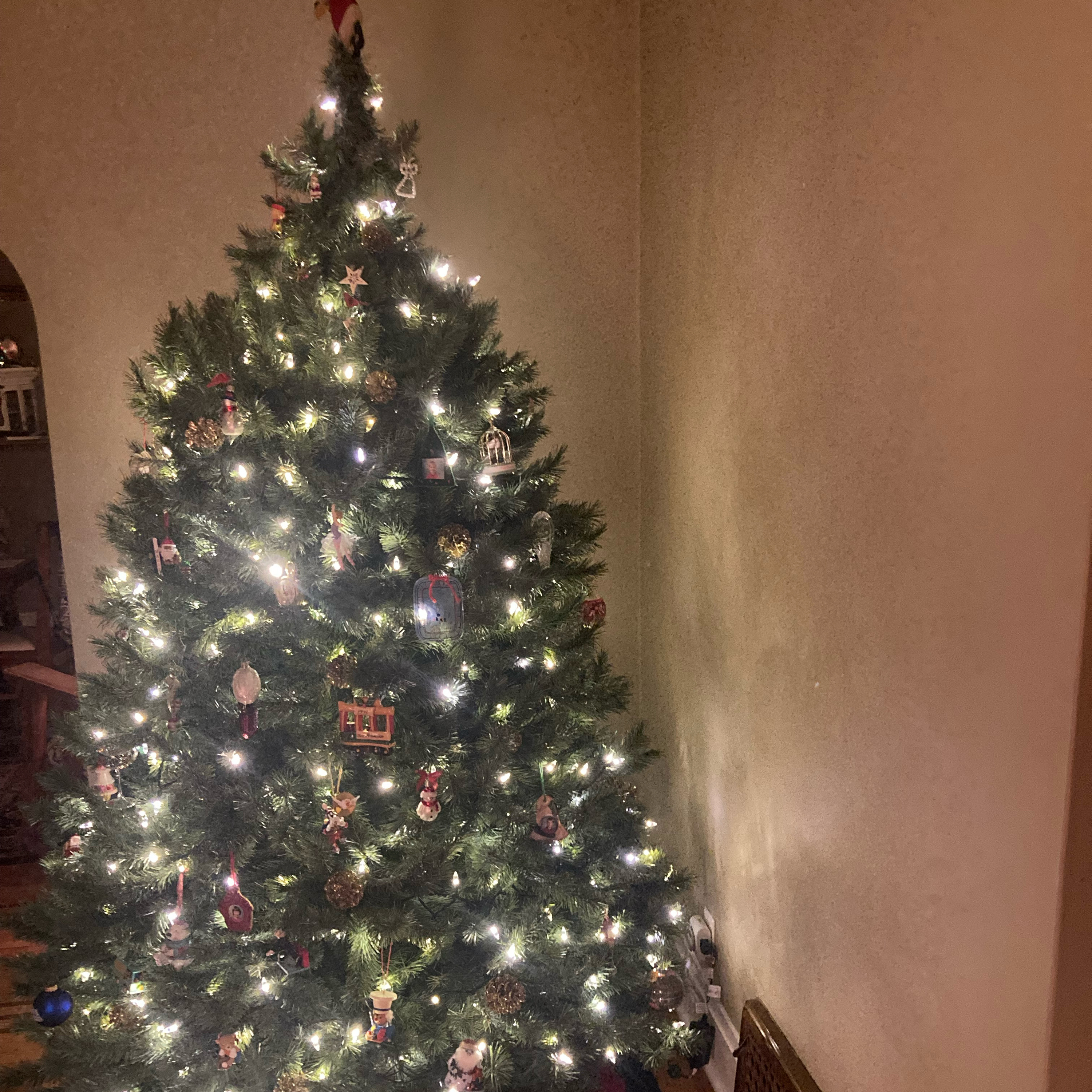 1.028k~TOTD #524🎄Shows HOF or Not❓Winter House season three pt 3