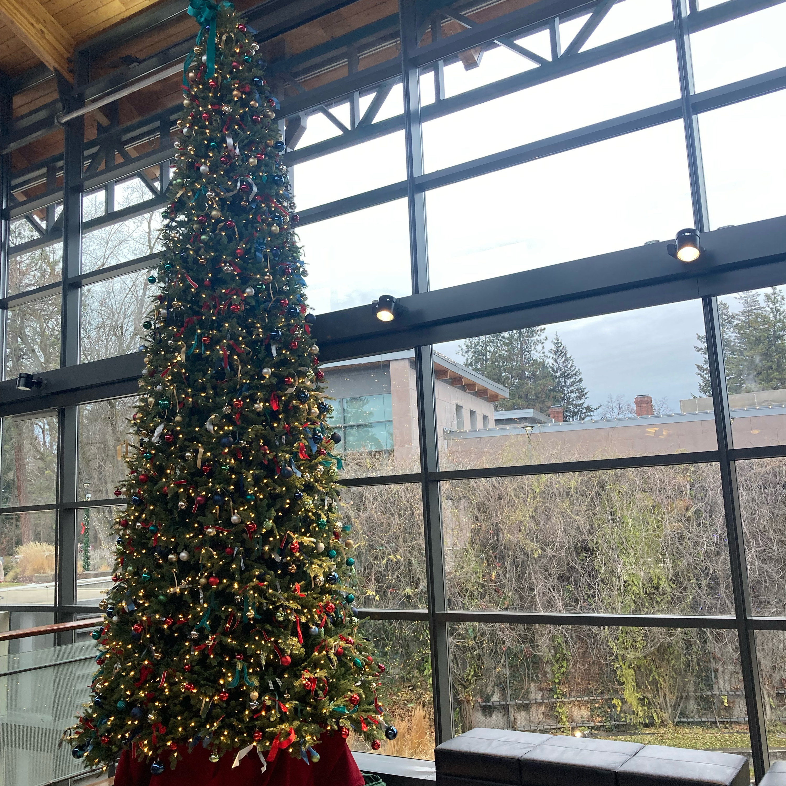 1.029k~TOTD #525🎄Shows HOF or Not❓Winter House season three pt 5