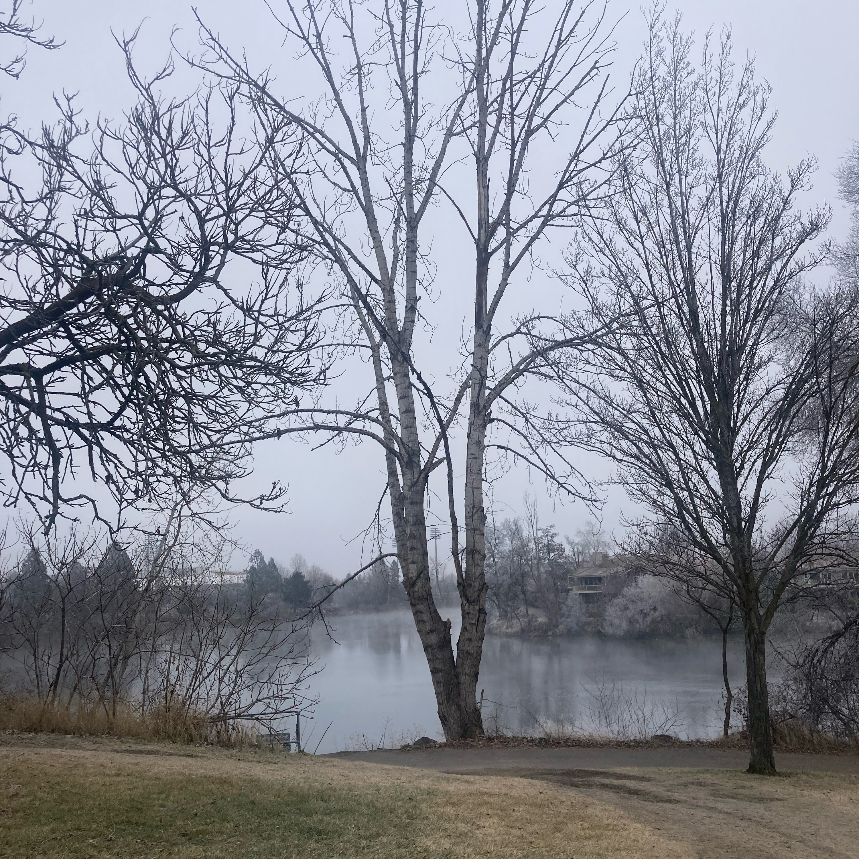 1.054k~TOTD #550⚾️HOF or Not❓Brandon Nimmo