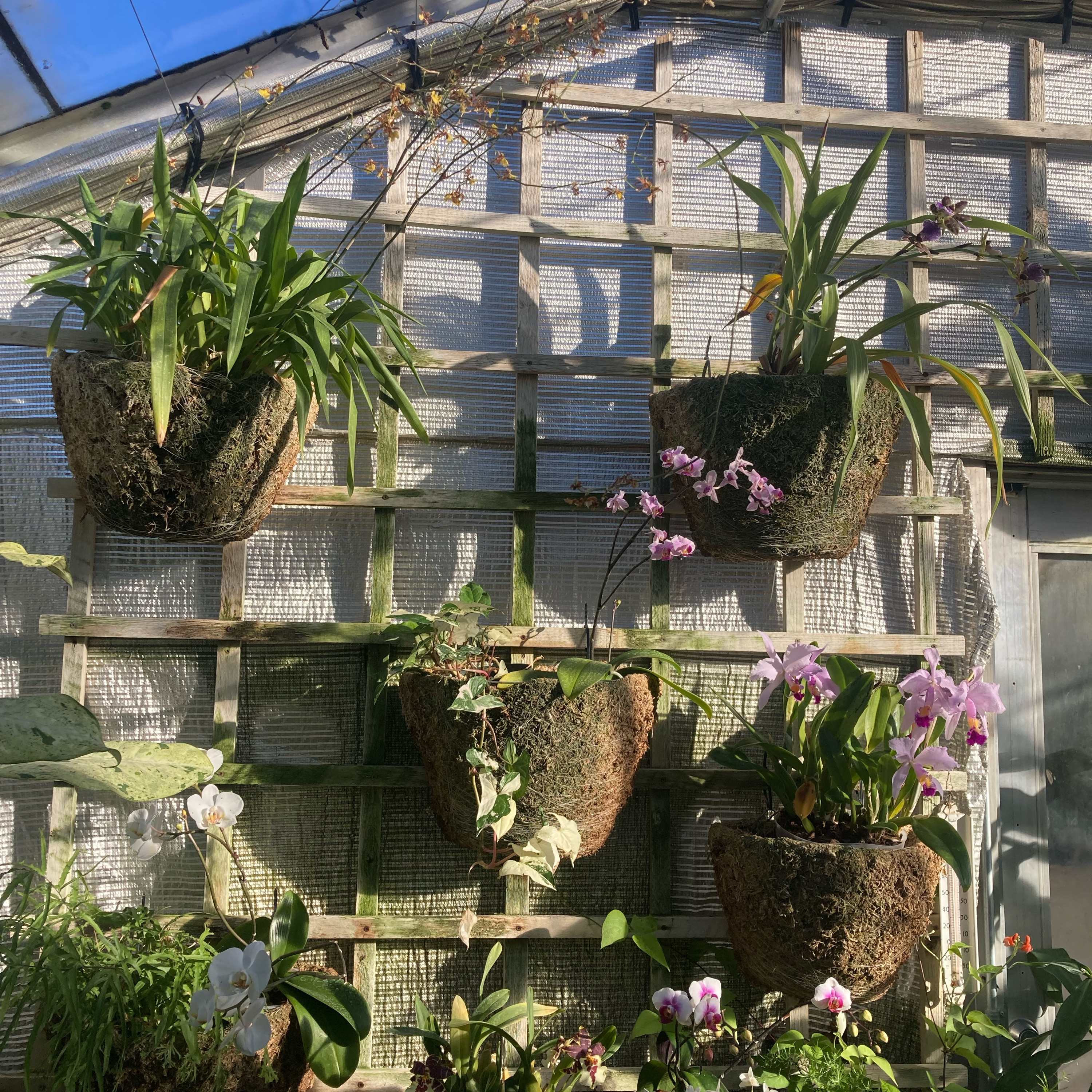 1.061~TOTD #556⚾️Pitches per Plate Appearance