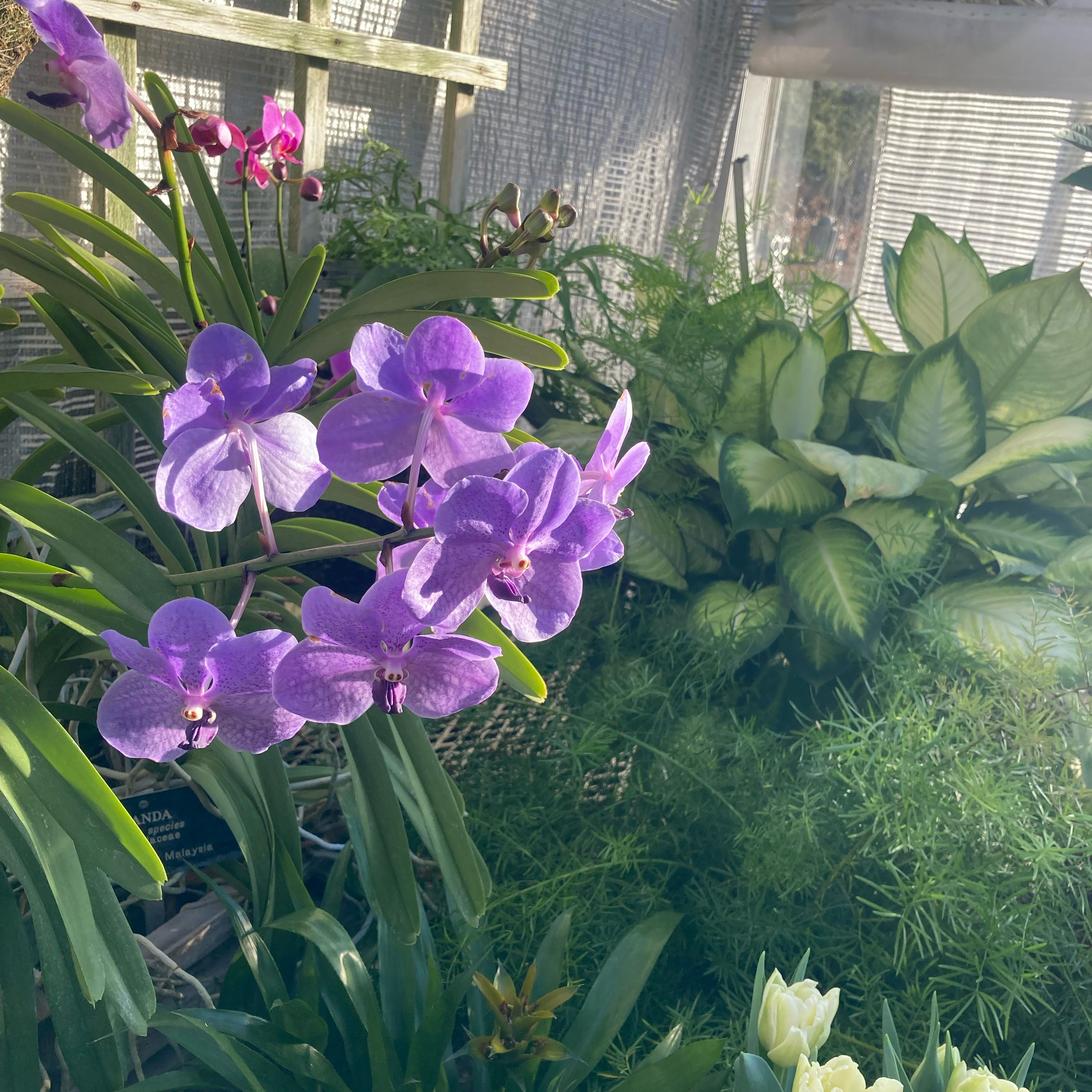 1.062~TOTD #557⚾️HOF or Not❓Andy Pettitte (again)