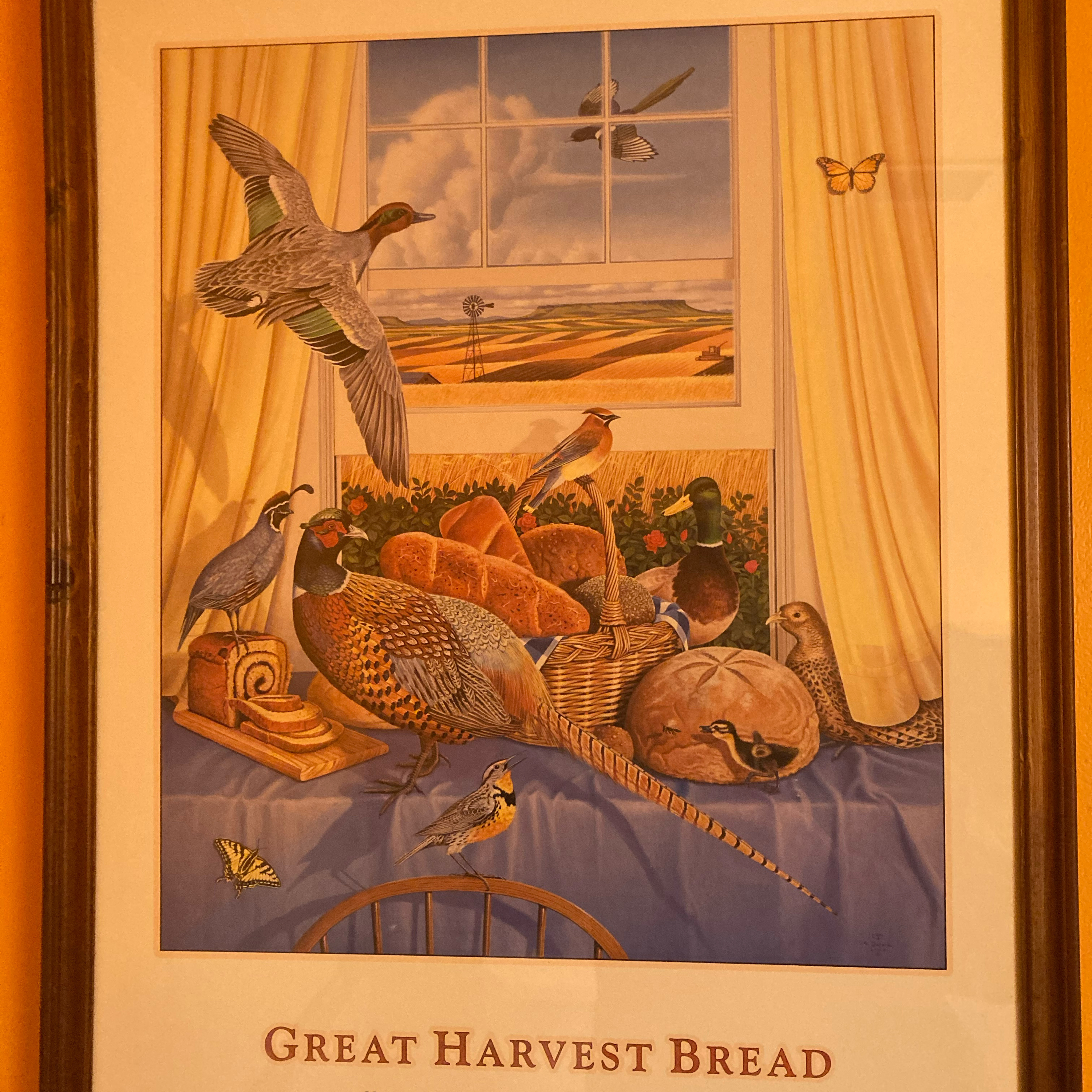 1.063~TOTD #558🏀🥎🏈stats