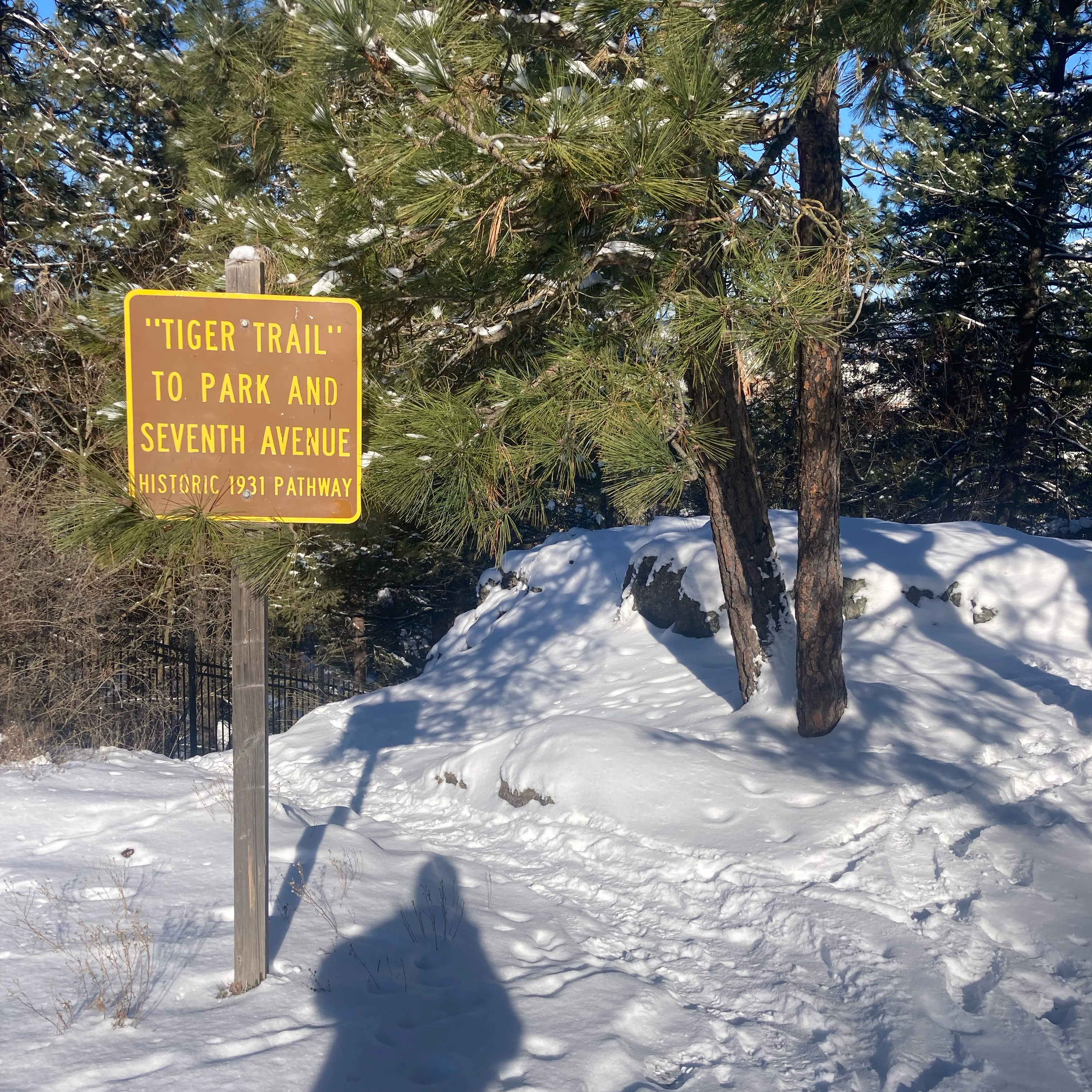 1.100🏈Super Bowl Preview