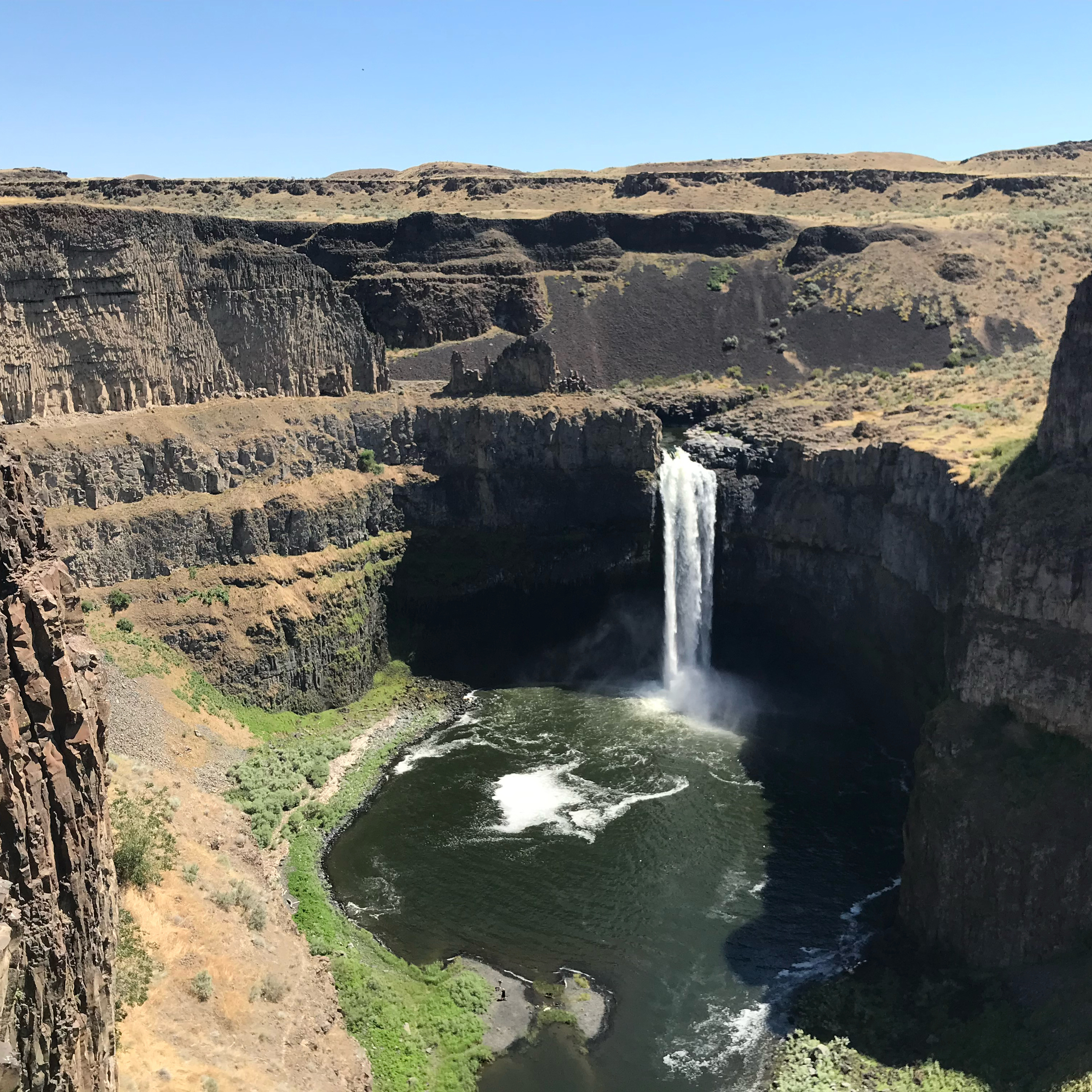 1.150~TOTD #603⚾️HOF or Not❓Alex Young