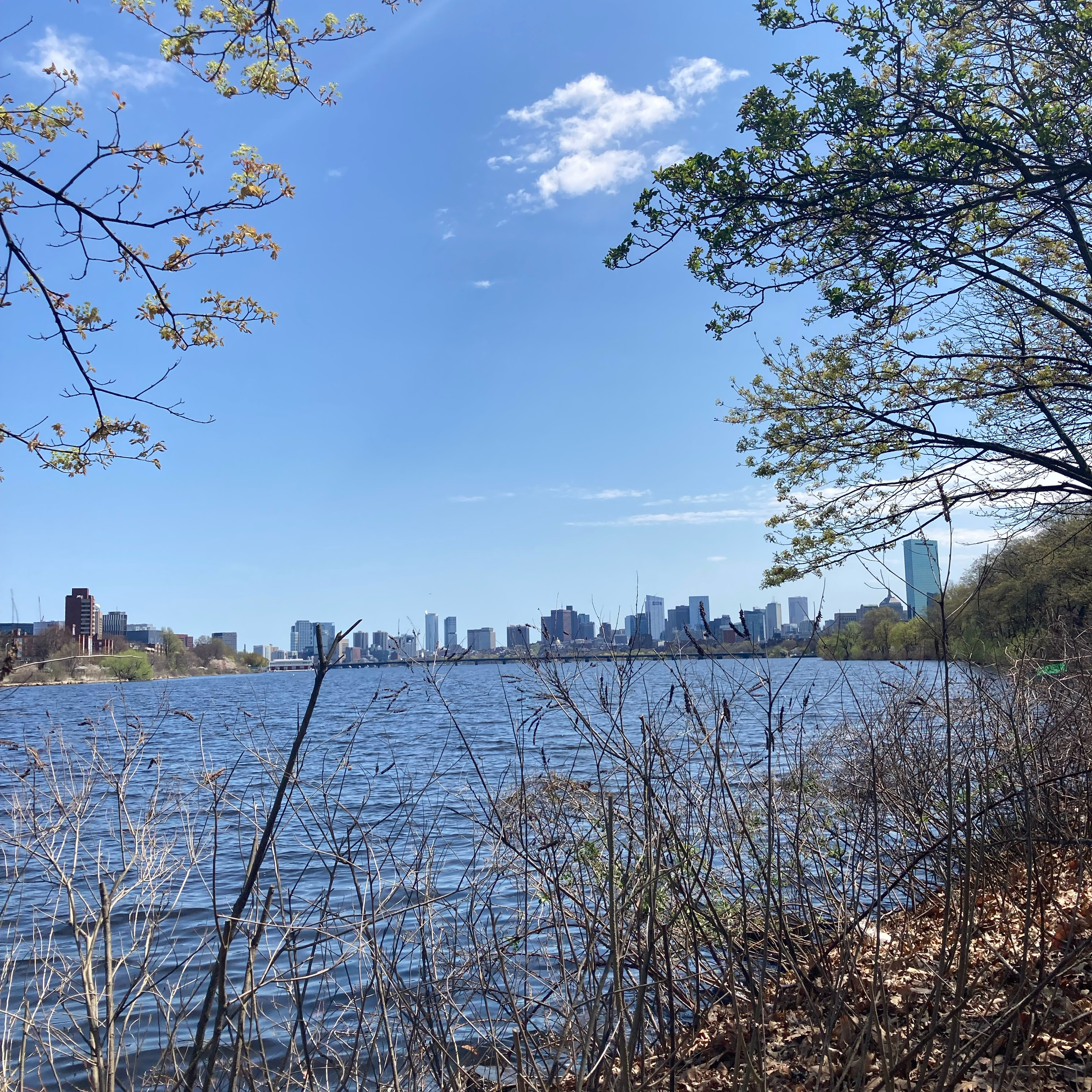 1.175🎵Flower Boy🌼