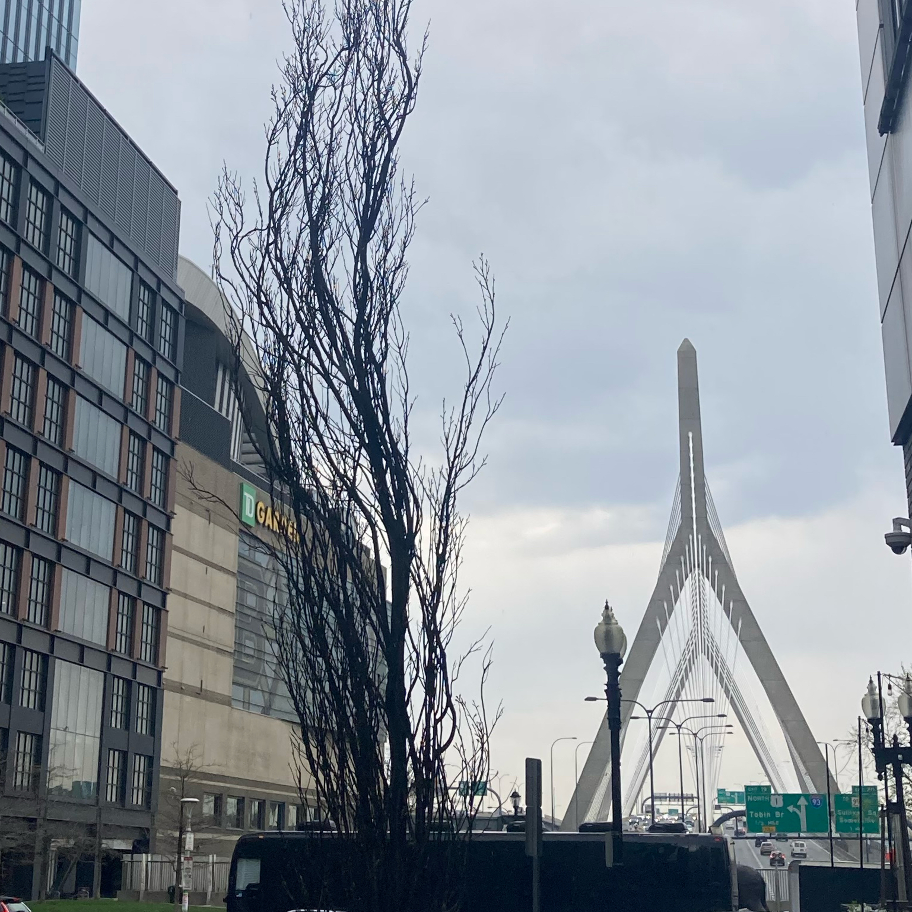 1.181~New England recap