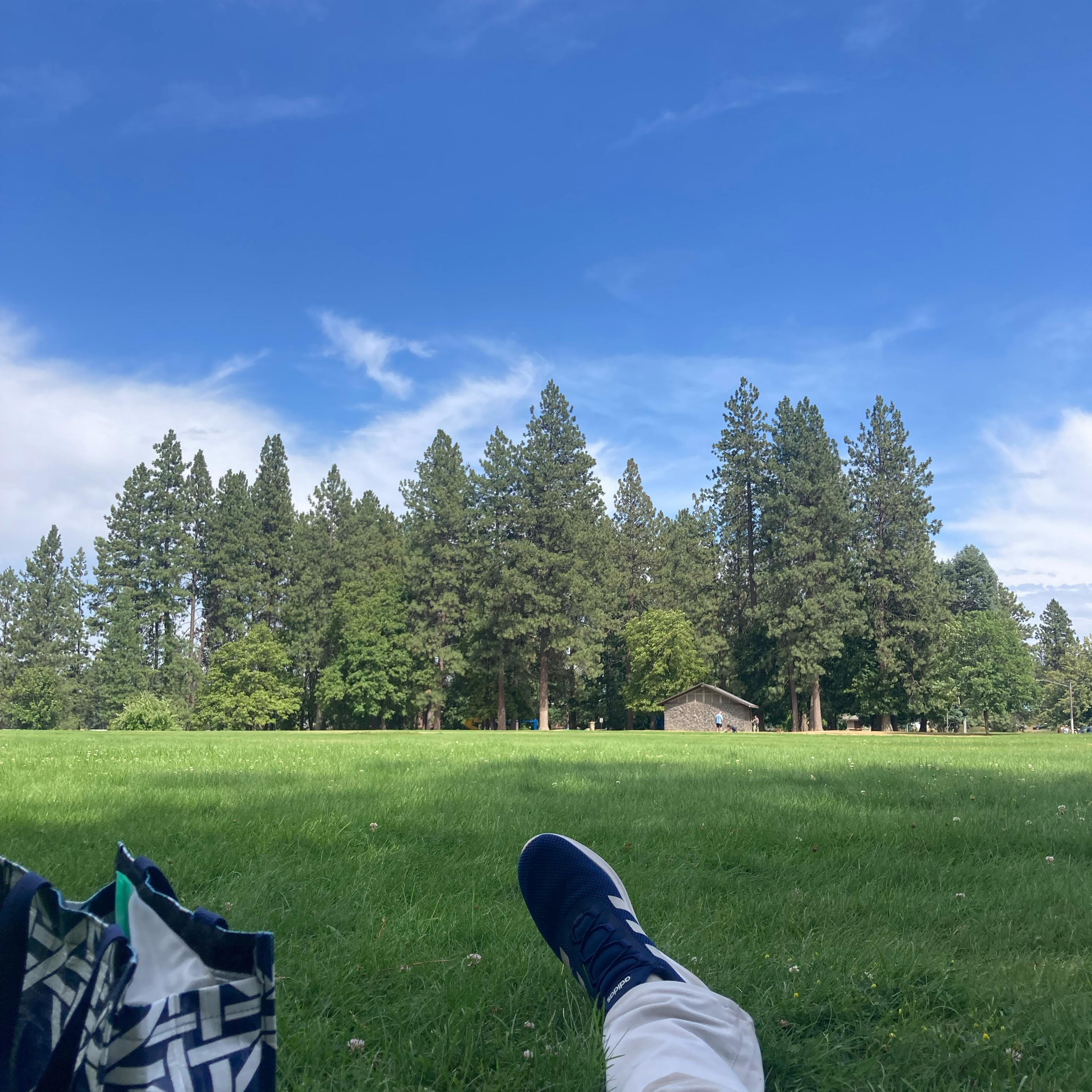 1.216🎵Ordinary cover