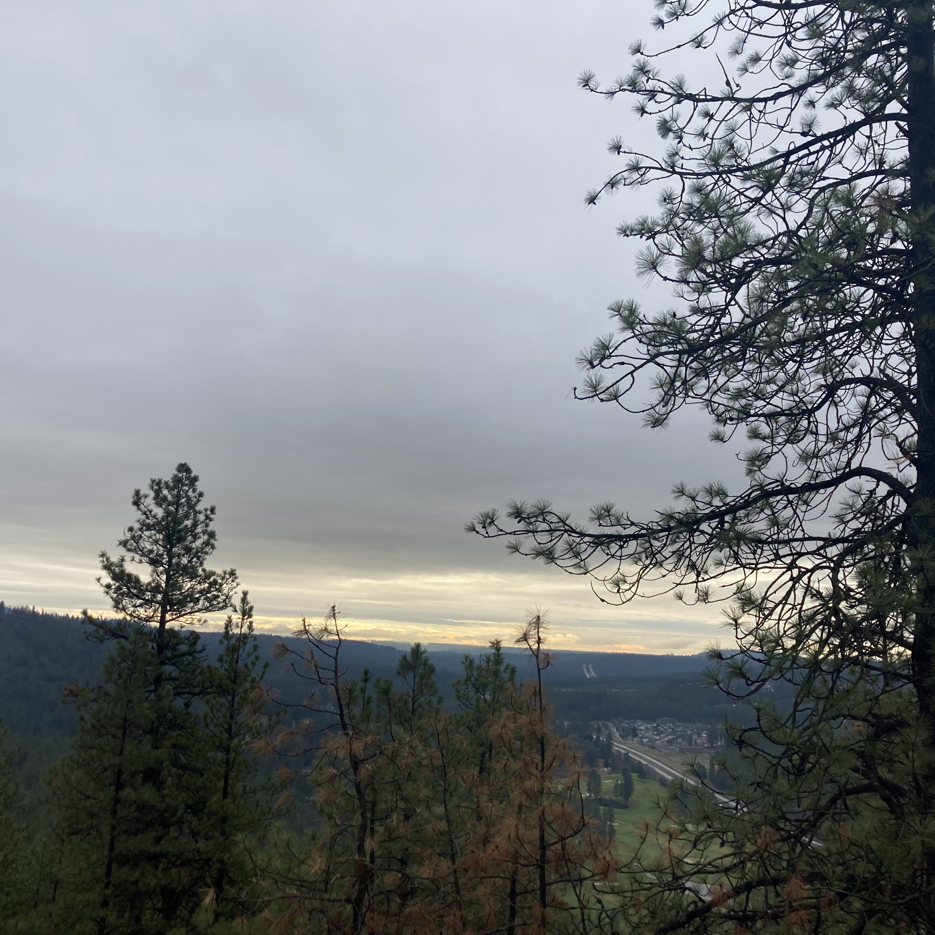 1.246🎵Linger cover