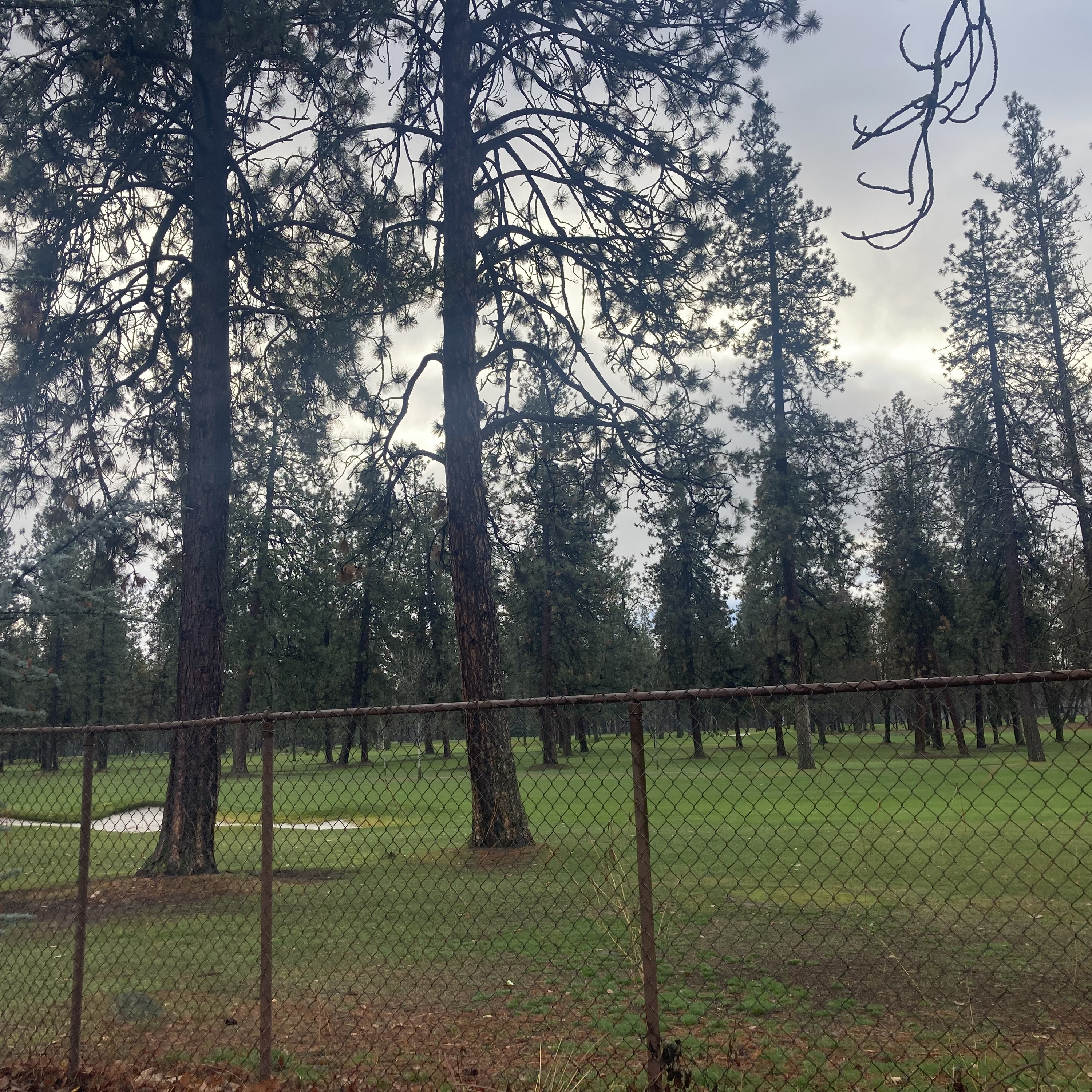 1.251🎵Good Riddance/Hell of a Year/My Own Worst Enemy covers