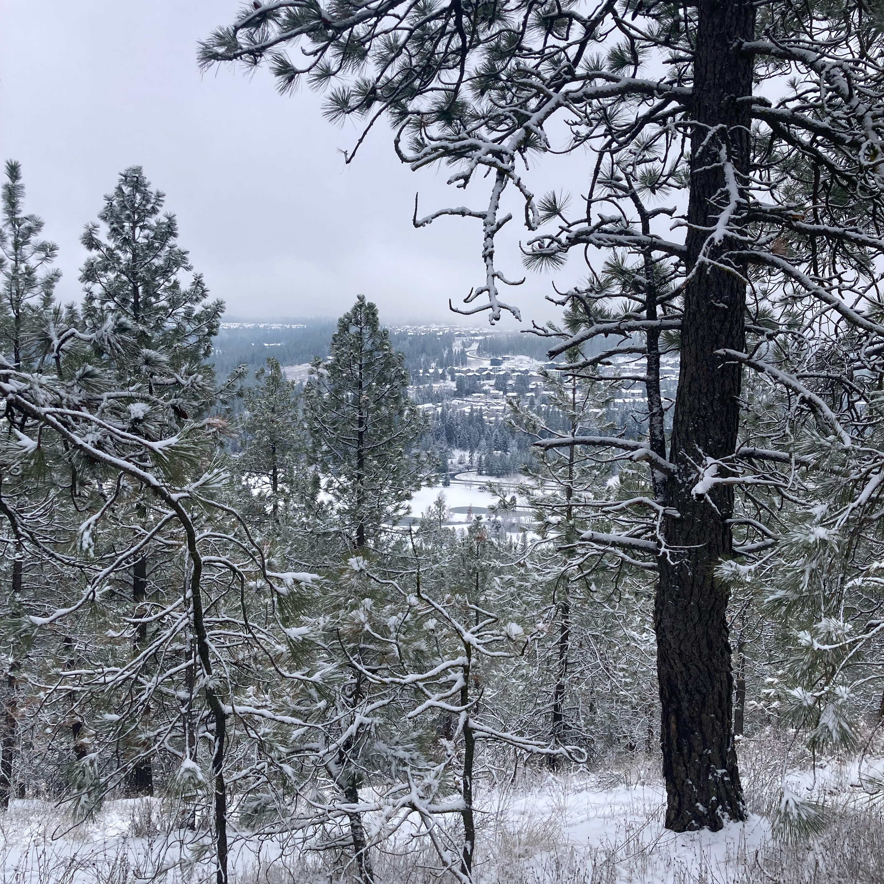 1.253🎵Fast Car/Pinch Me covers