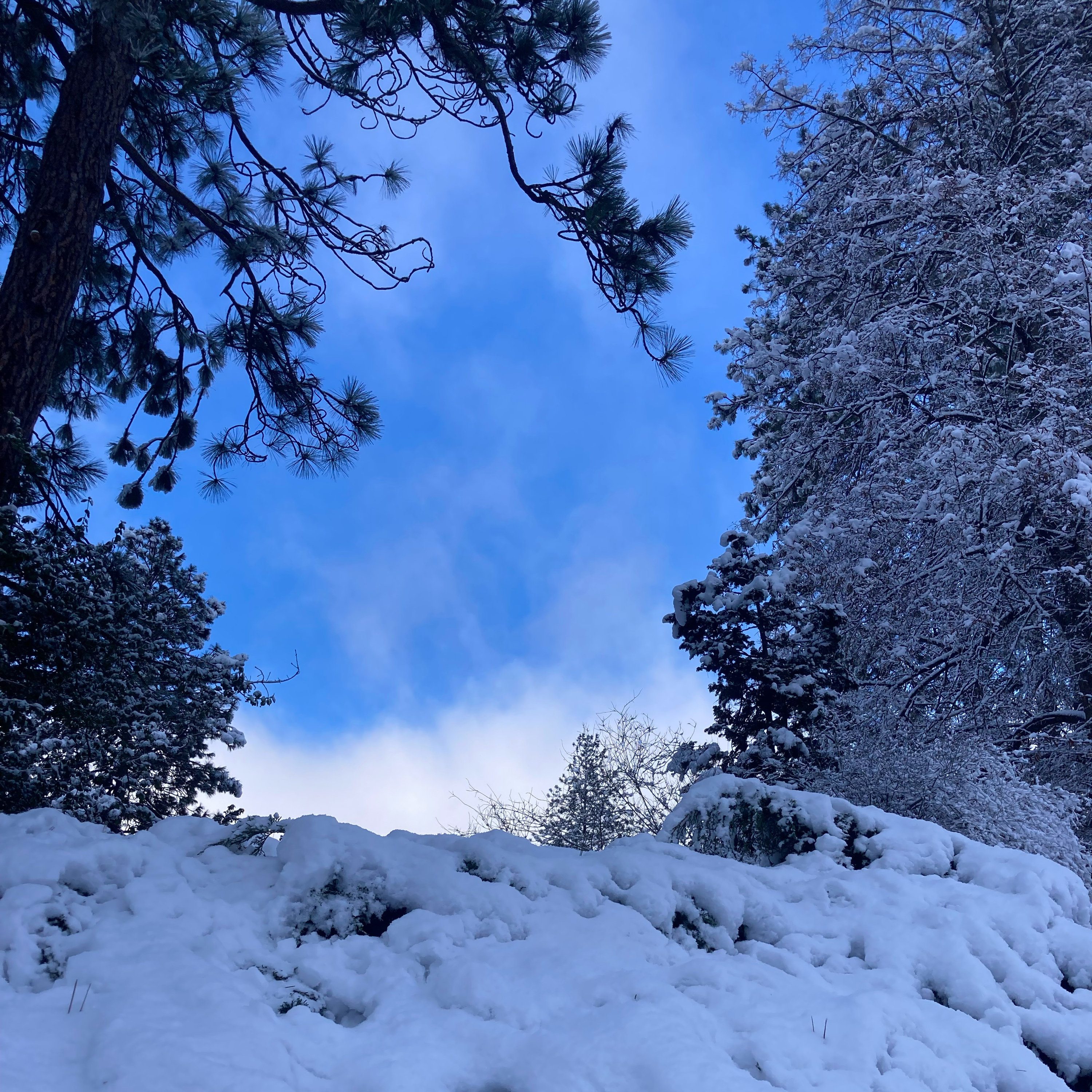 1.276🛻Chevy Silverado cover