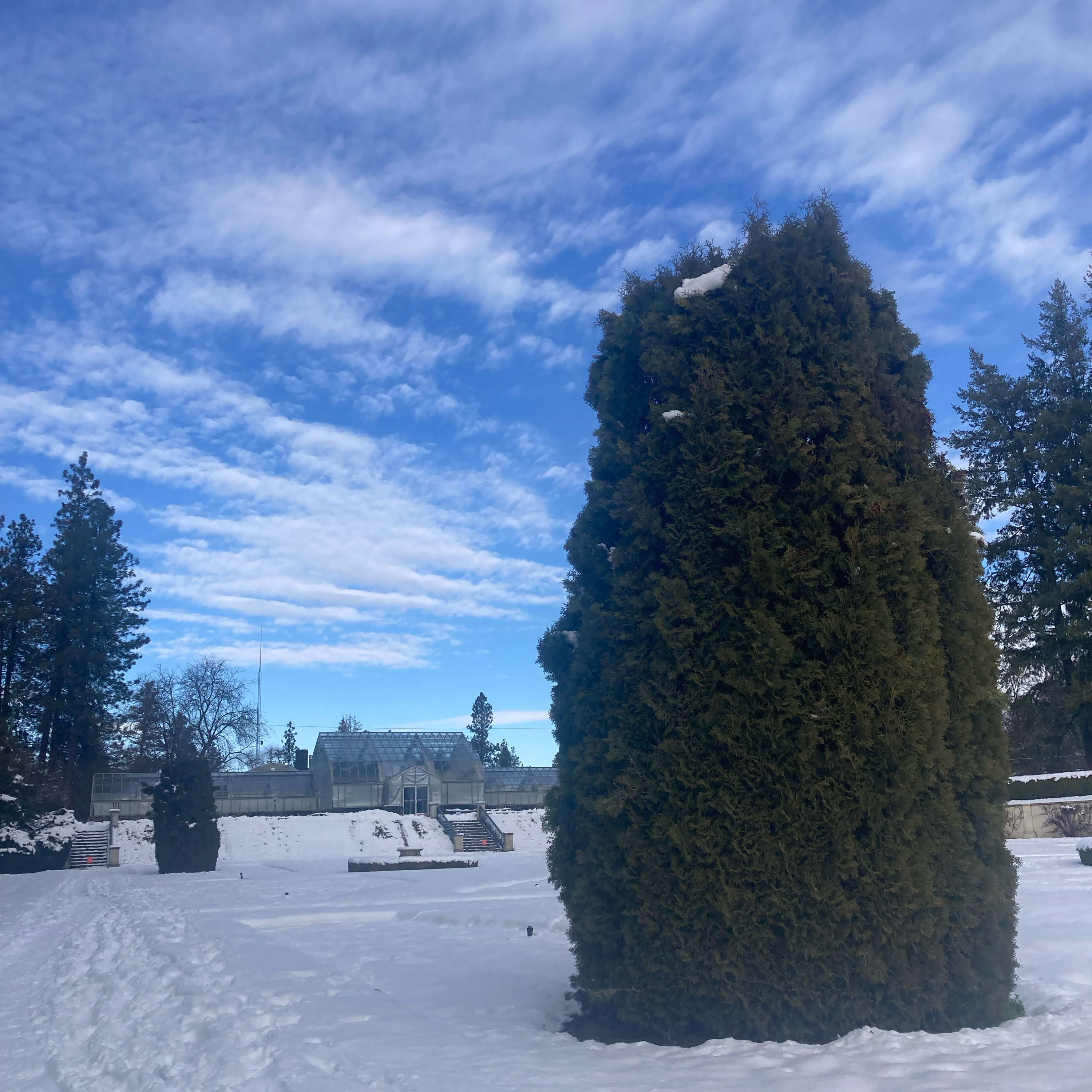 1.277 👁️🟢Green Eyes