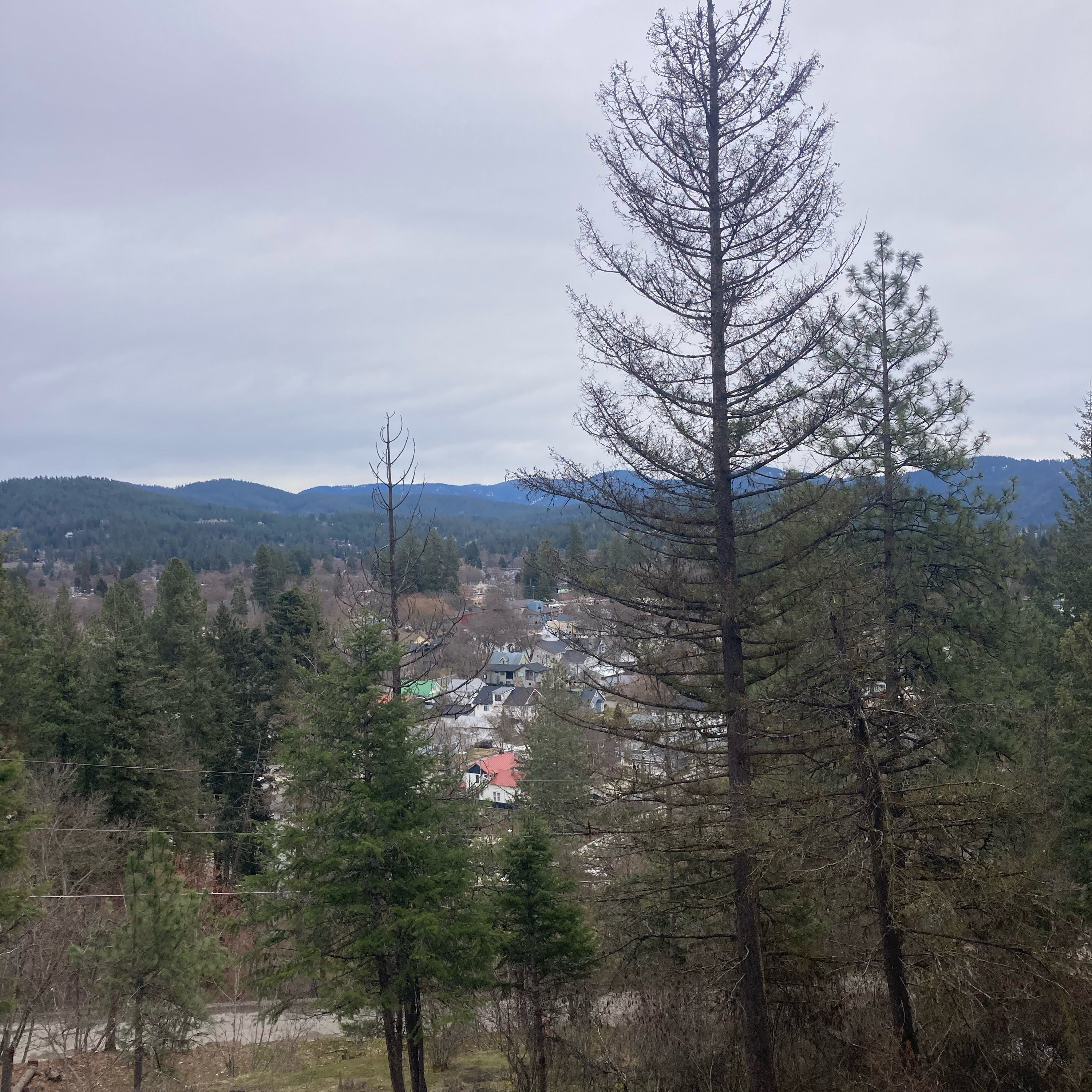 1.288 🎵 Cover Quartet