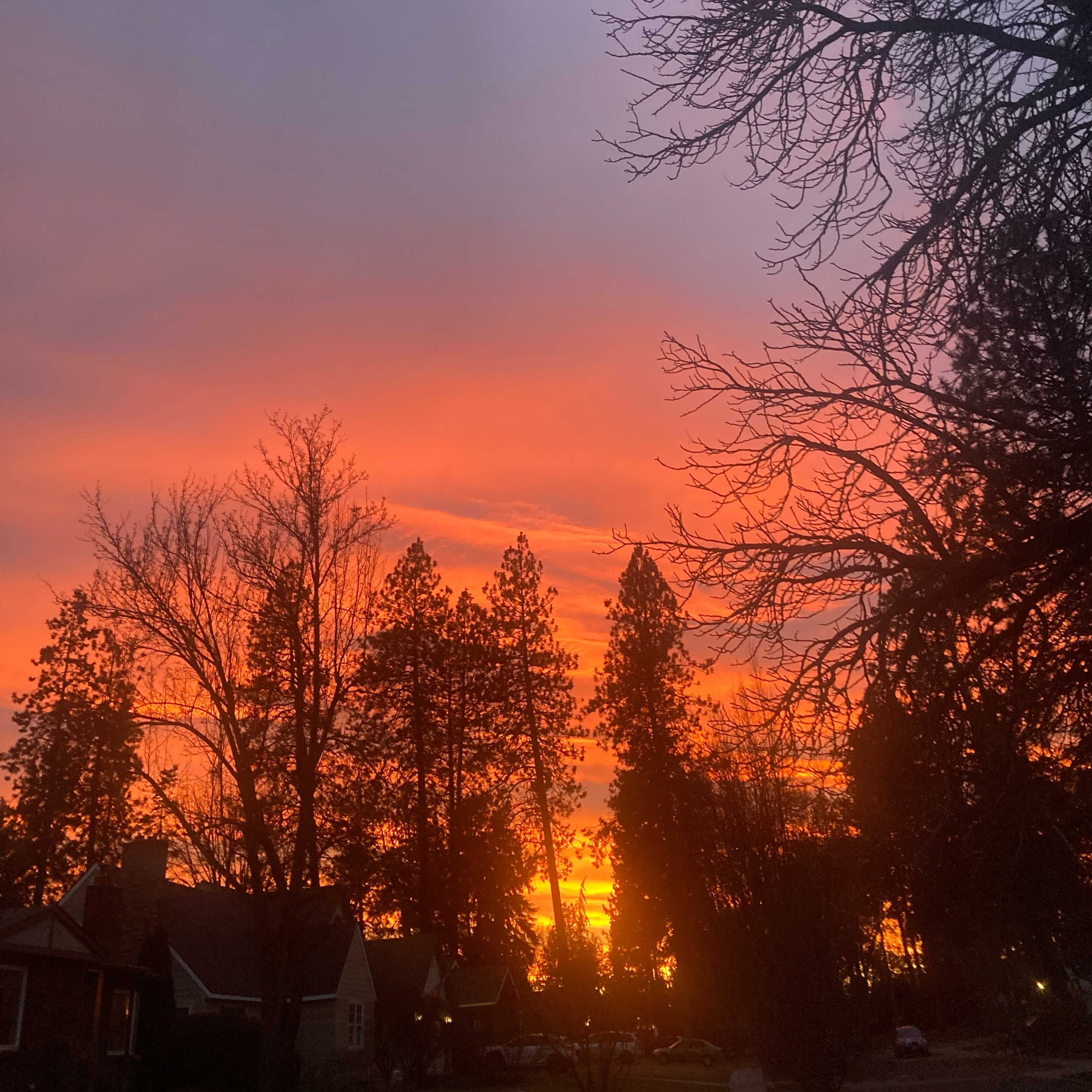 1.291 🎵 Covers trio