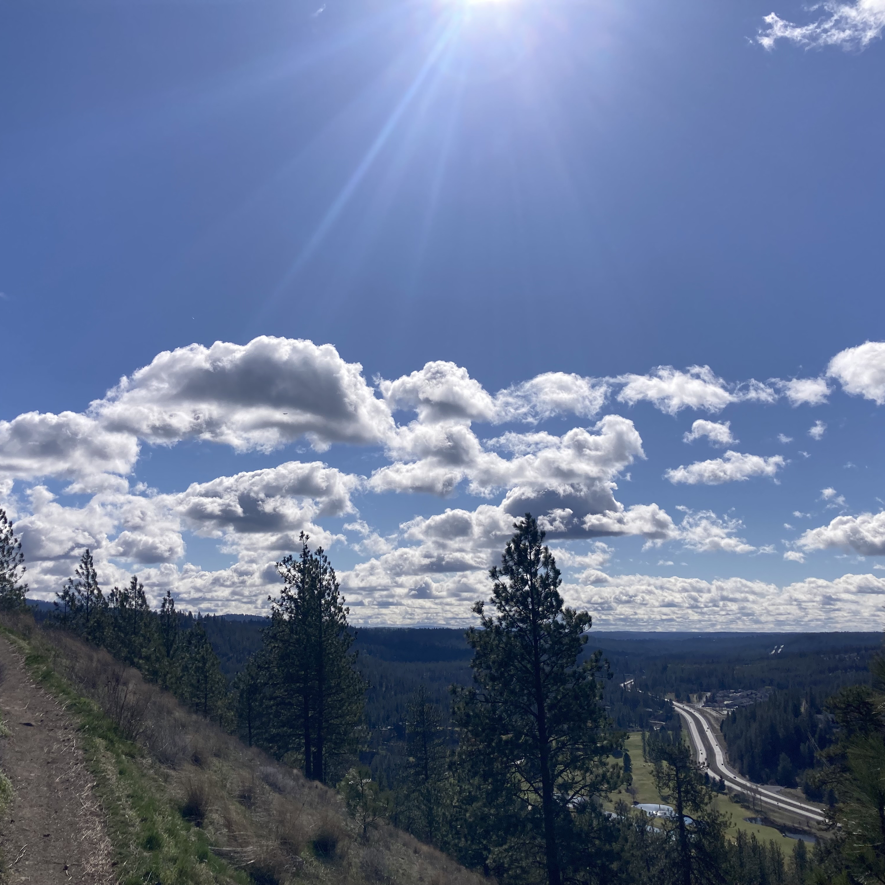 1.299 🏝️ Love Island Boiii