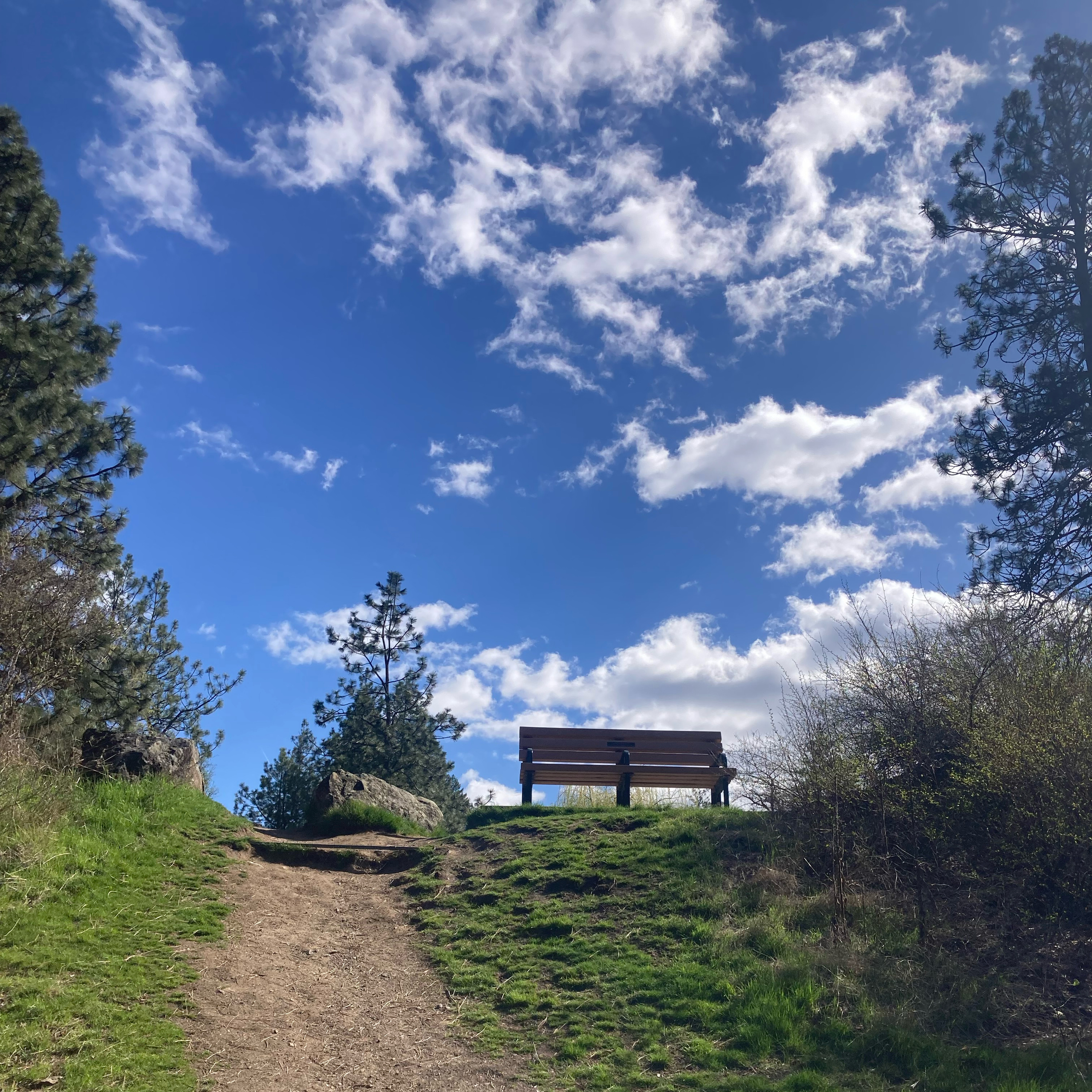 1.302 🏀 HOF or Not ❓ Harrison Barnes