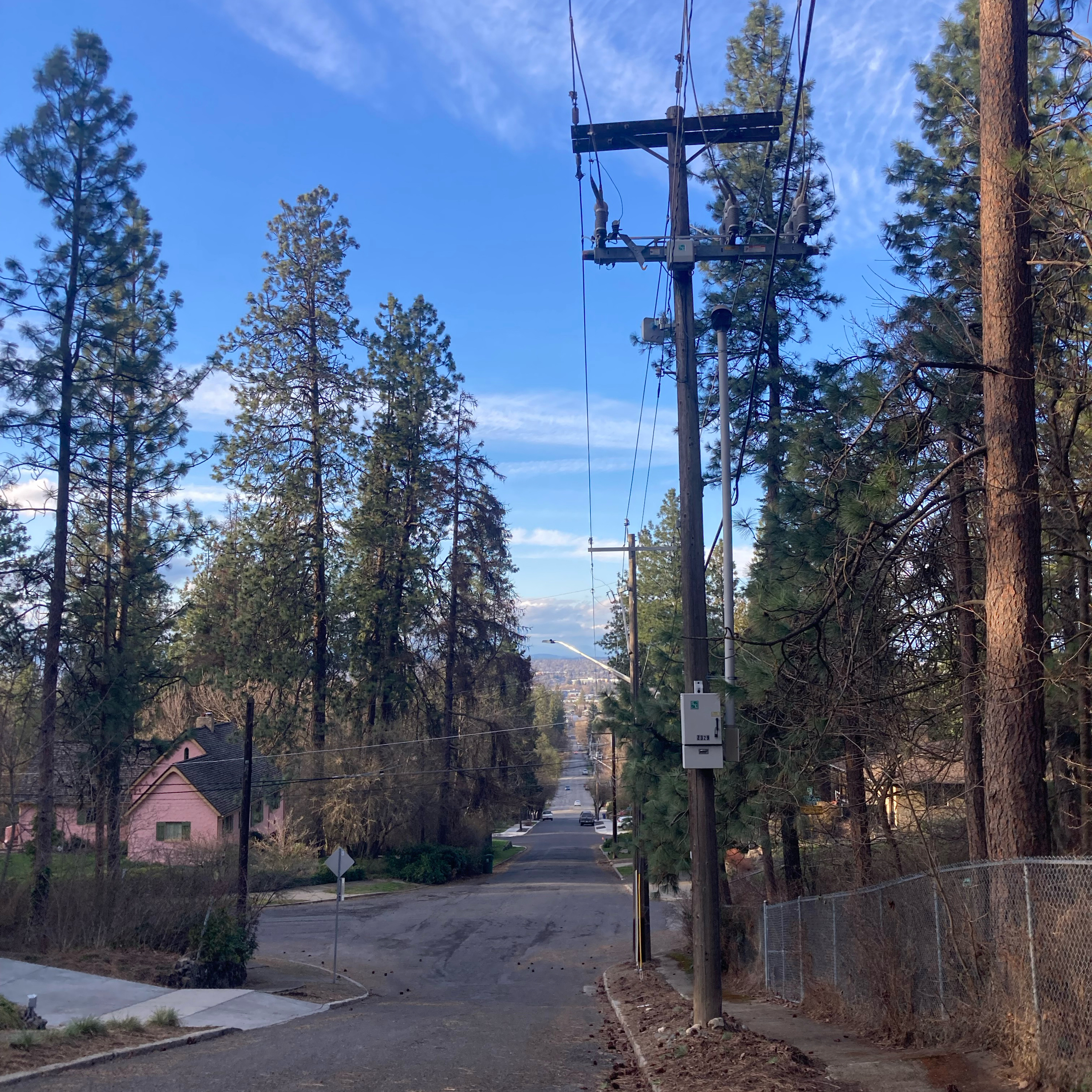 1.303⛳️🏝️Masters, Survivor & more