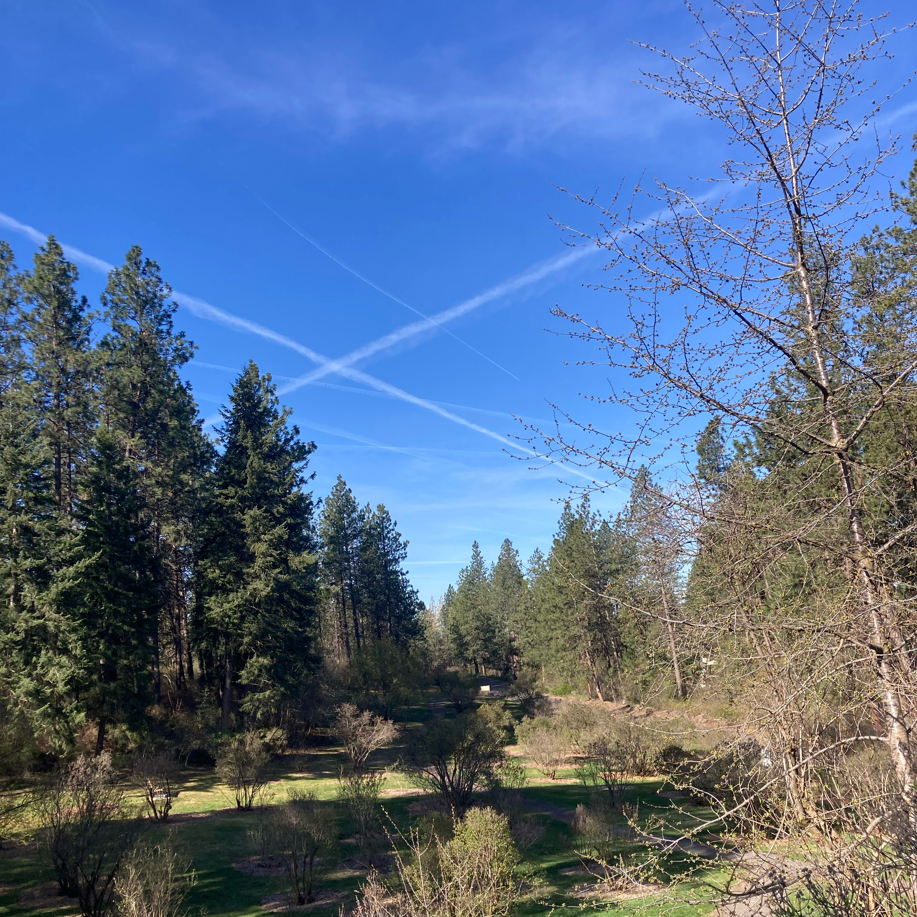 1.304⛳️🏝️More Masters & stuff