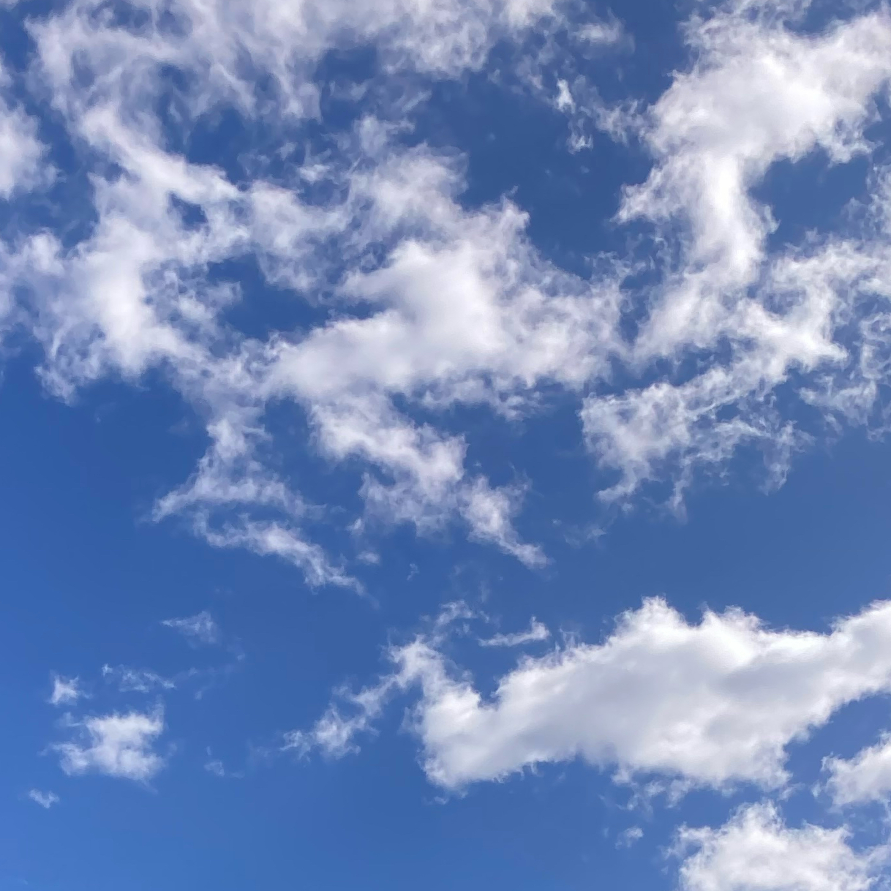 1.307 ⛳️ Masters coverage