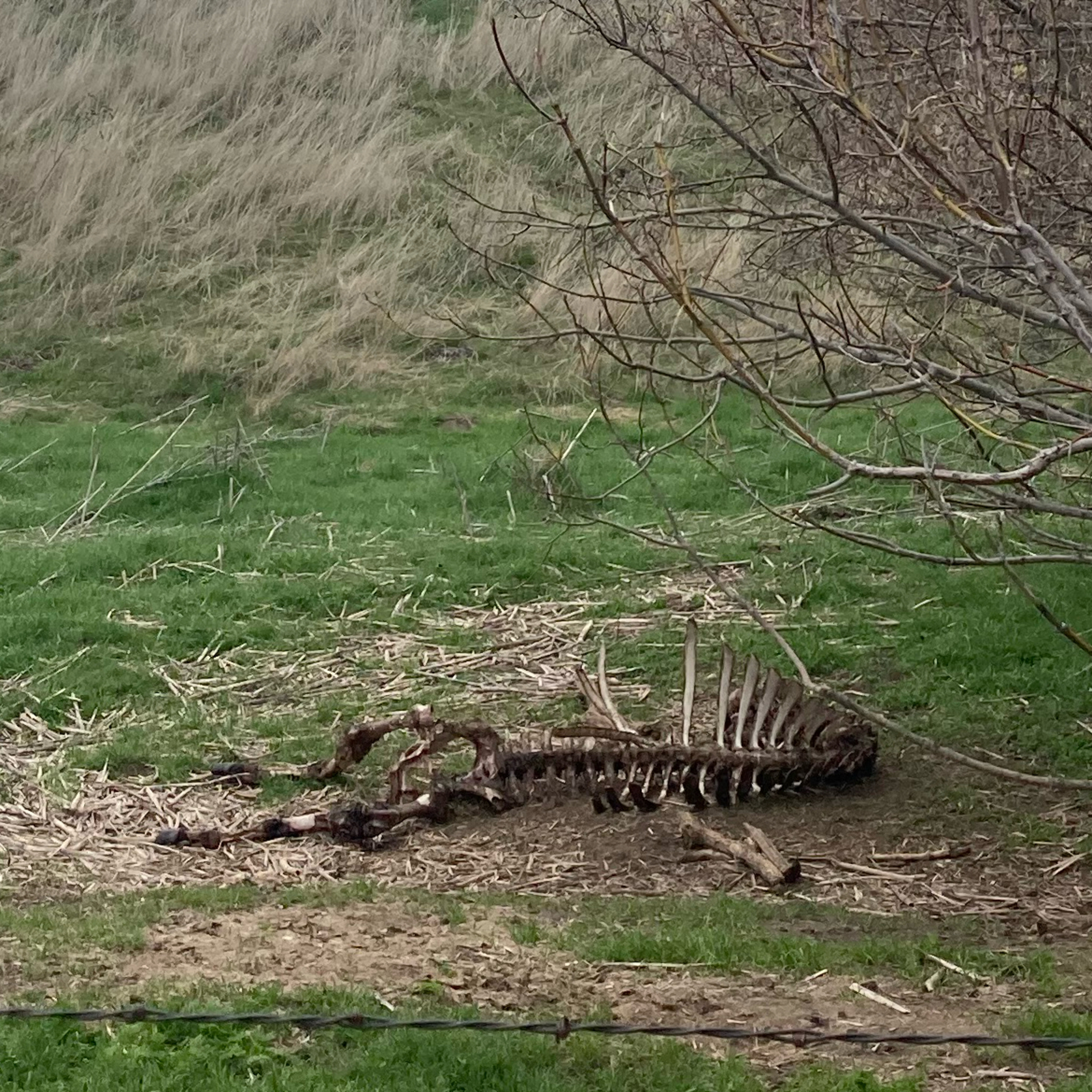 1.312 🎤 The Adventure cover