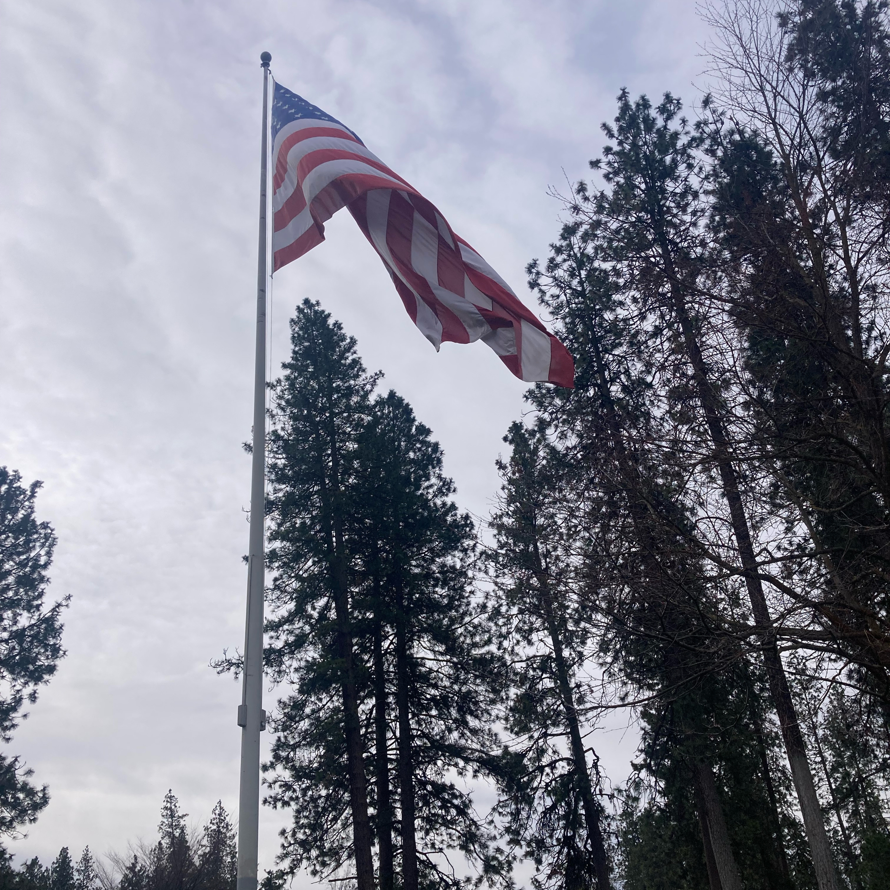 1.313 🎵 Right Back To It cover