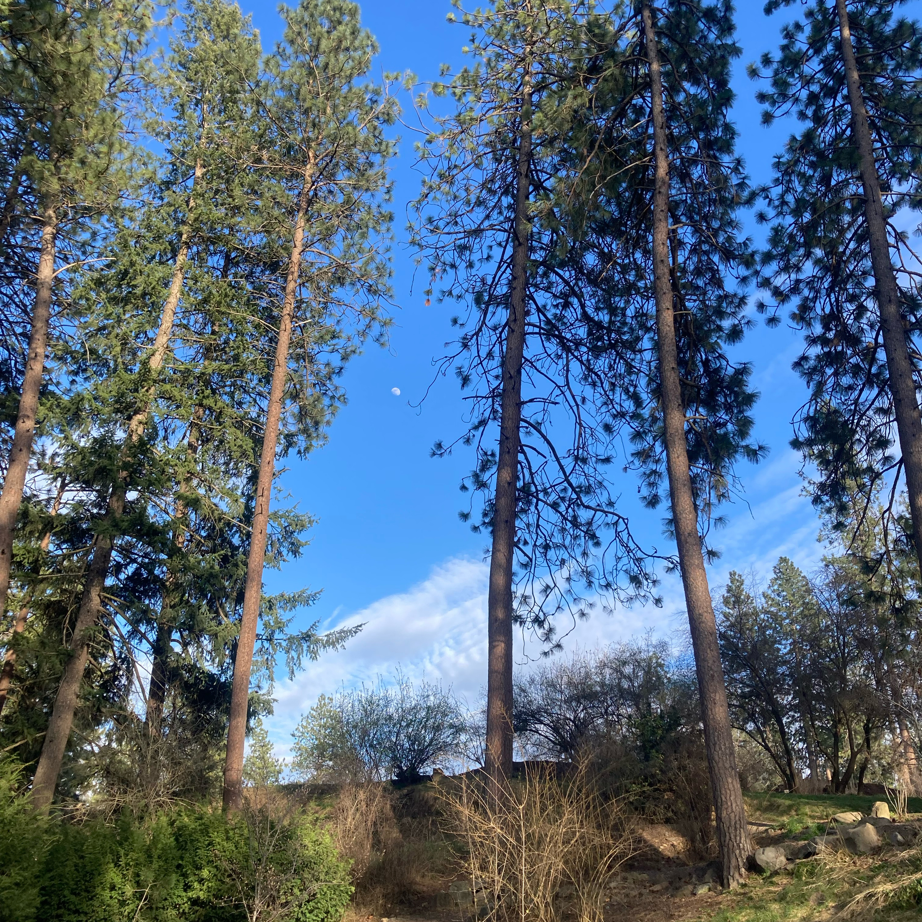 1.314⛳️Masters Saturday pt 3