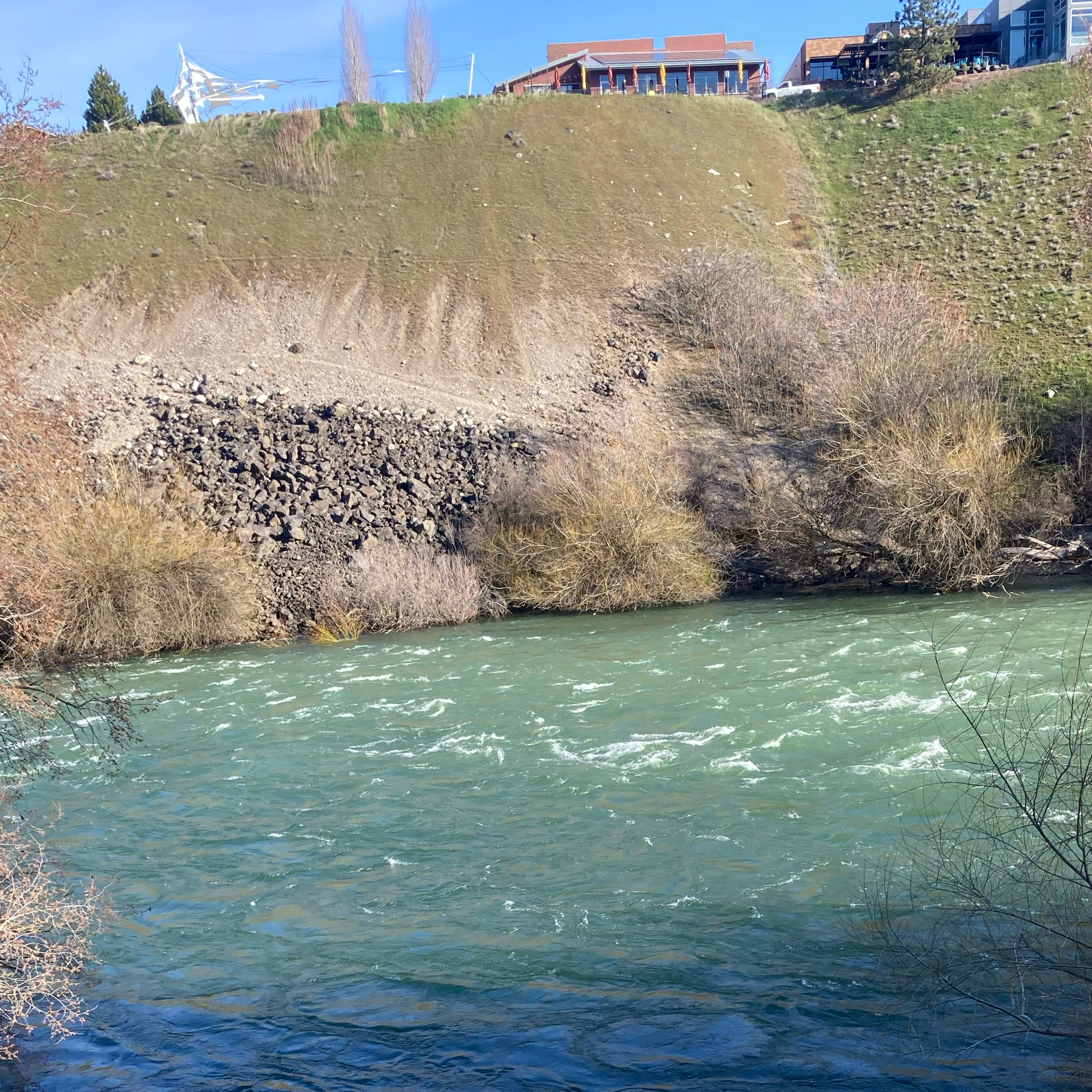 1.315🍿Step Brothers⚔️ movie companion