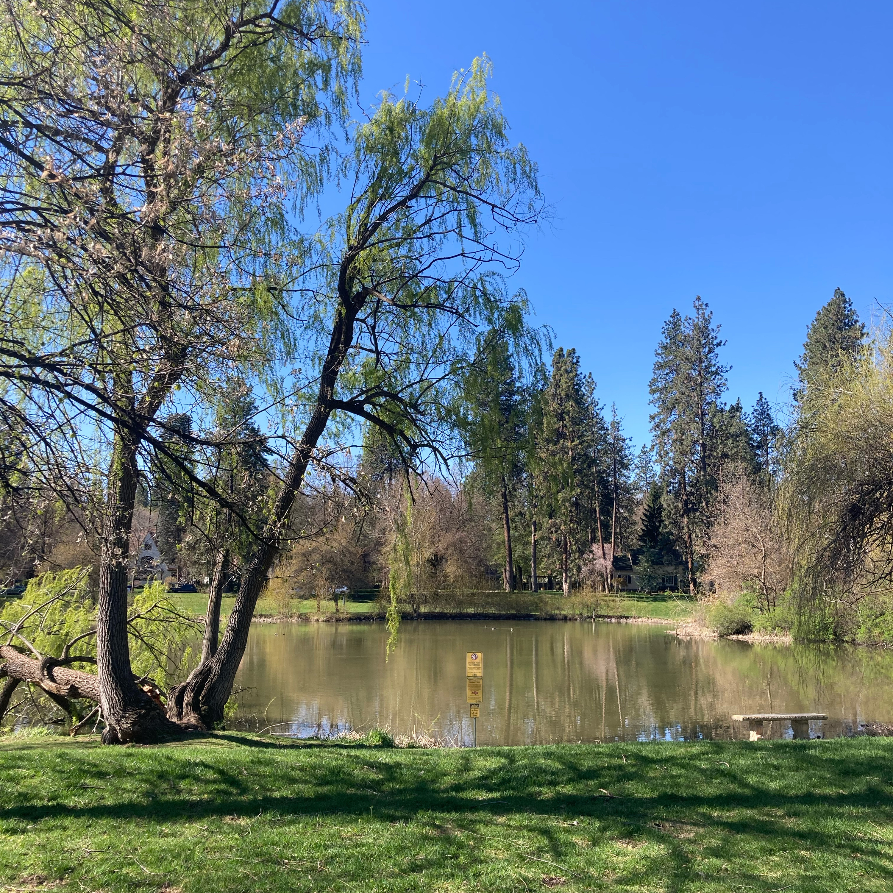 1.316 ☀️ Happy Friday Morn