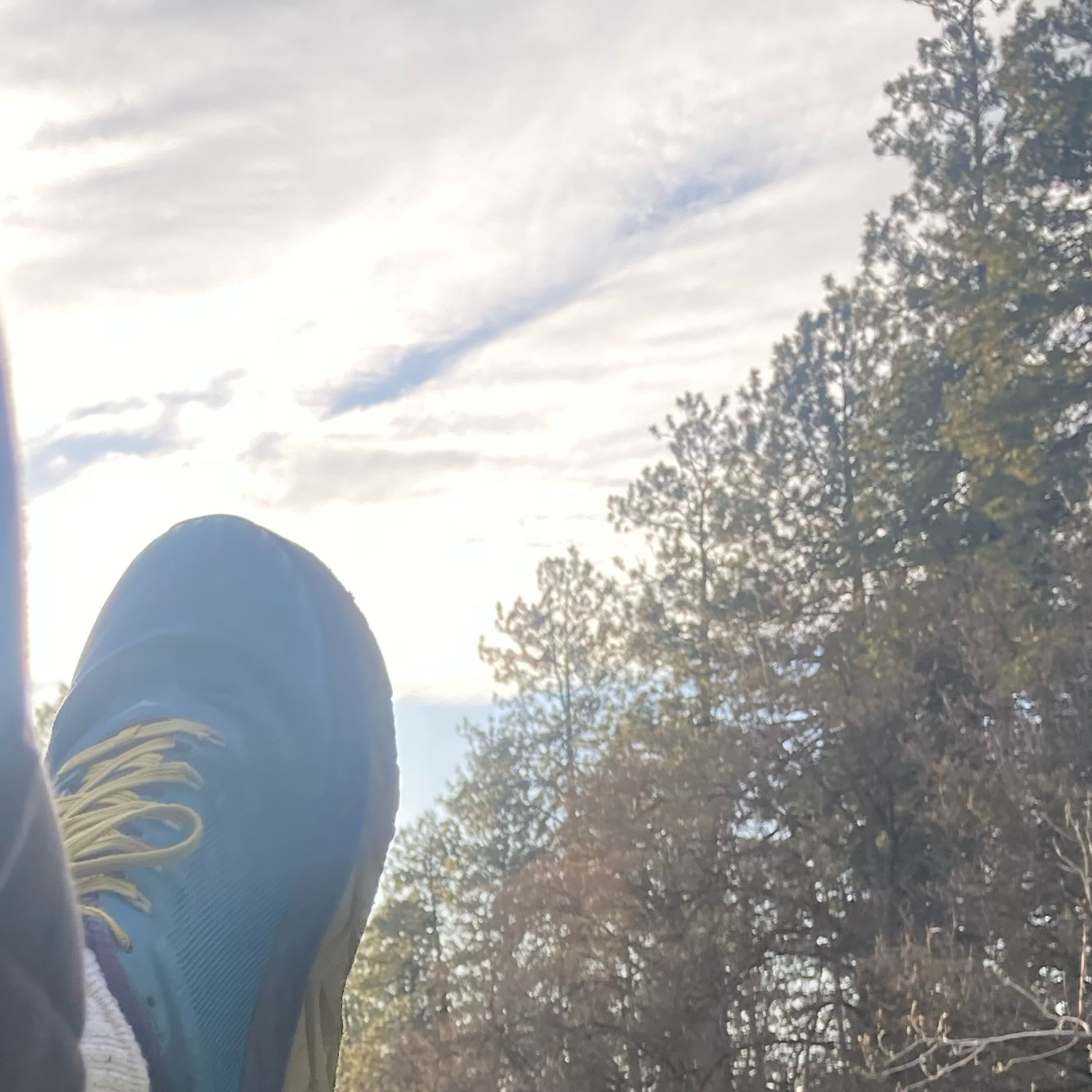 1.317 🦞 Re-re-Maine cover