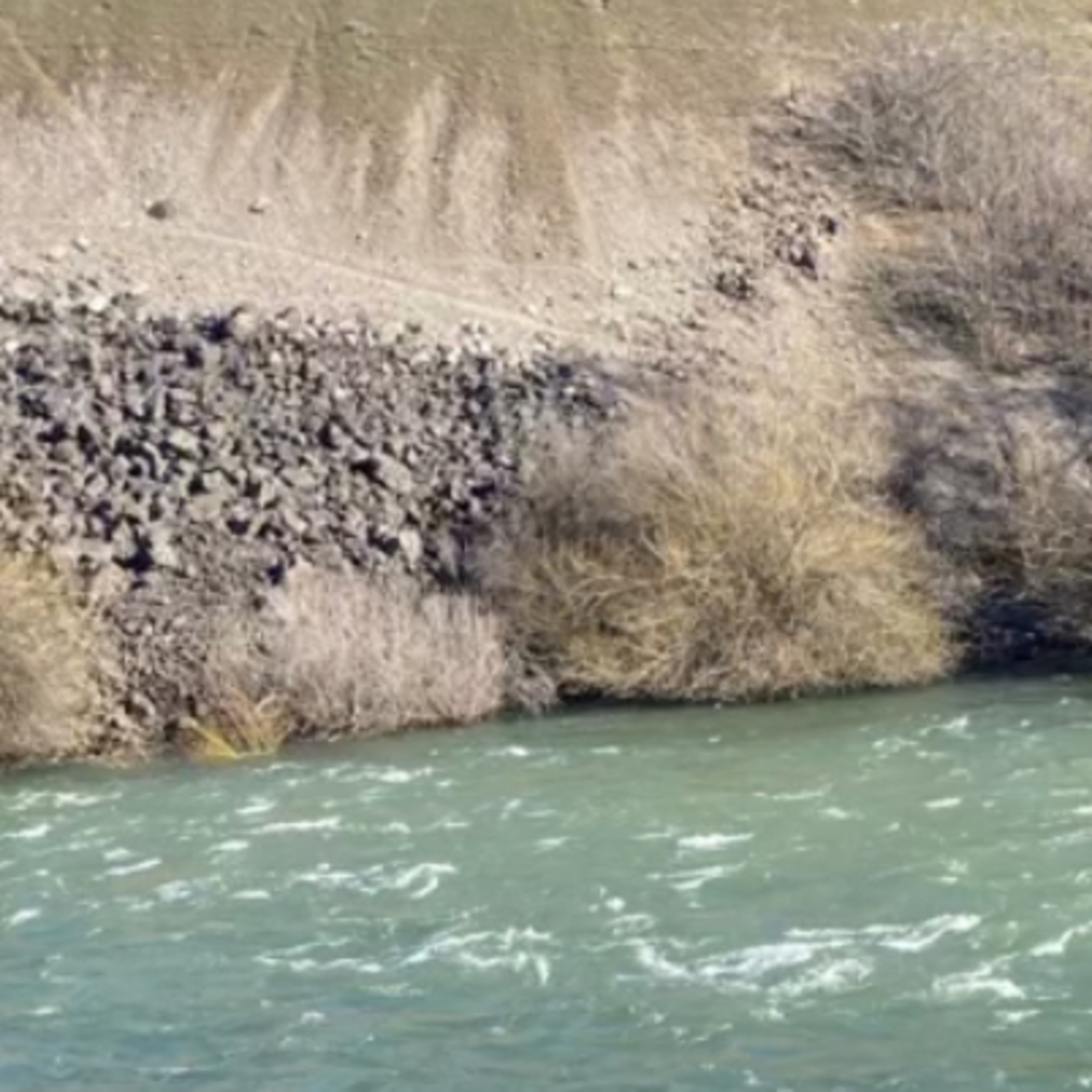 1.320🐝🏀Hornets vs Magic 🪄 2nd half