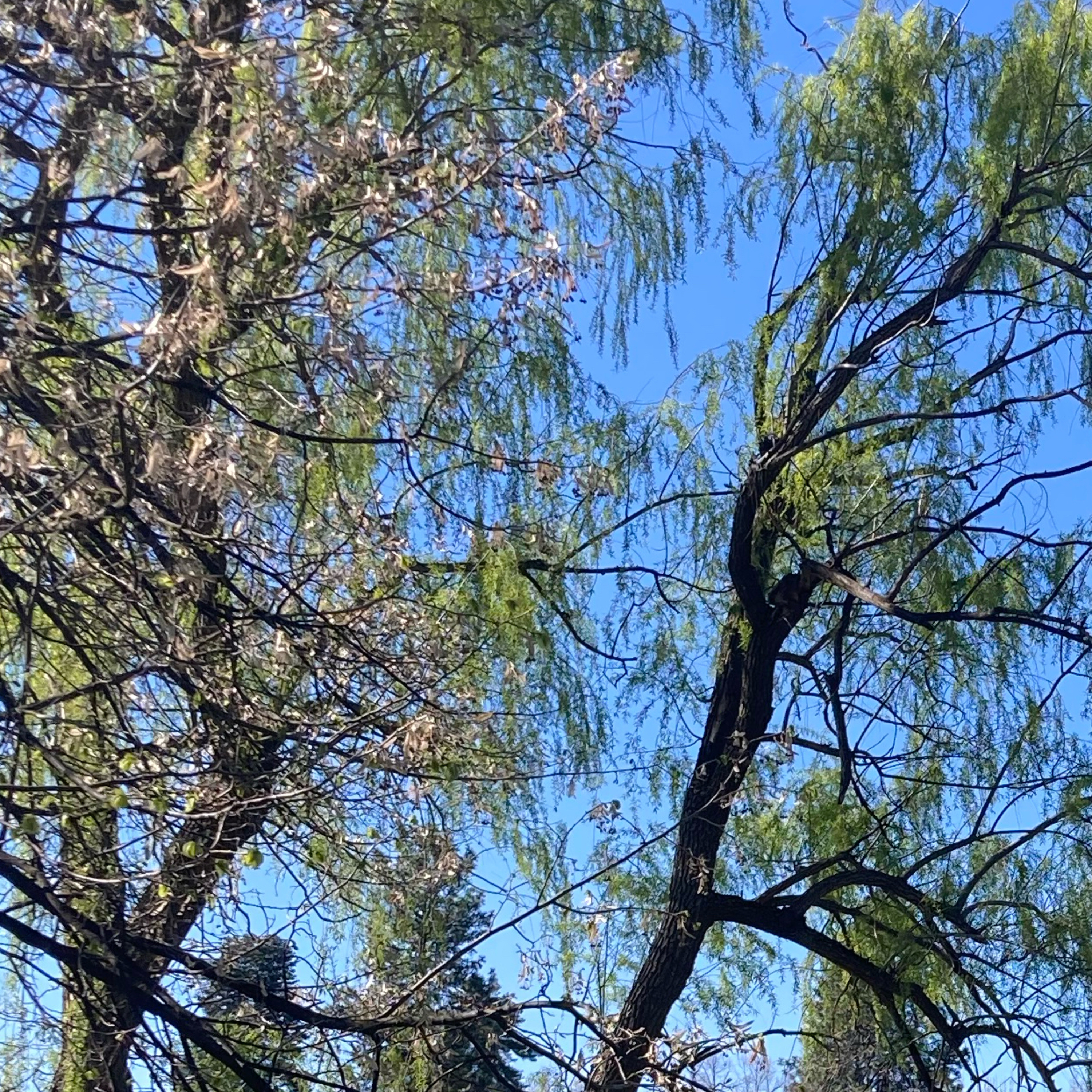 1.322☀️🏀Warriors vs Suns 2nd half