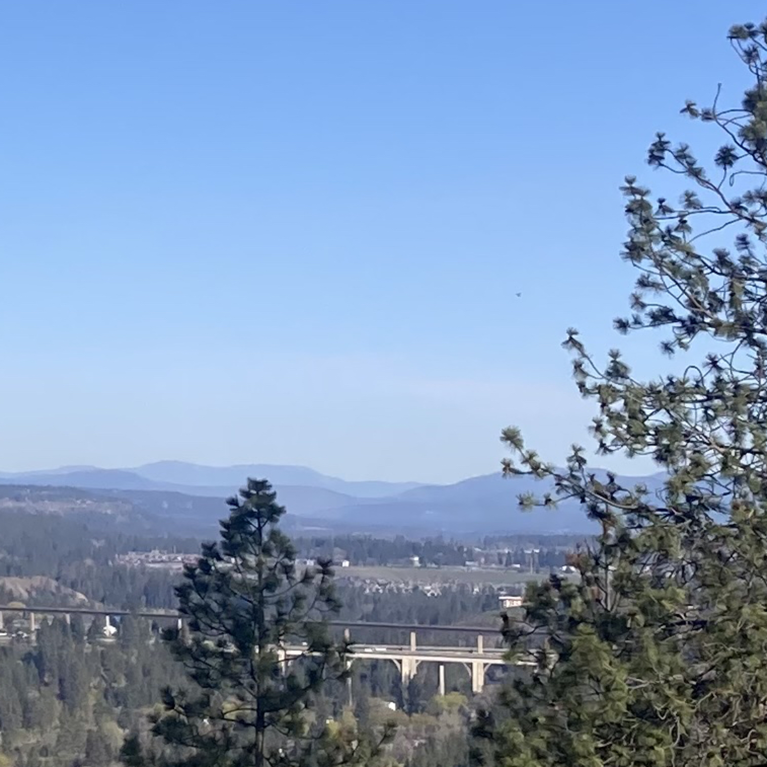 1.323 🐺 🏀Wolves vs Nuggets🏔️1st half