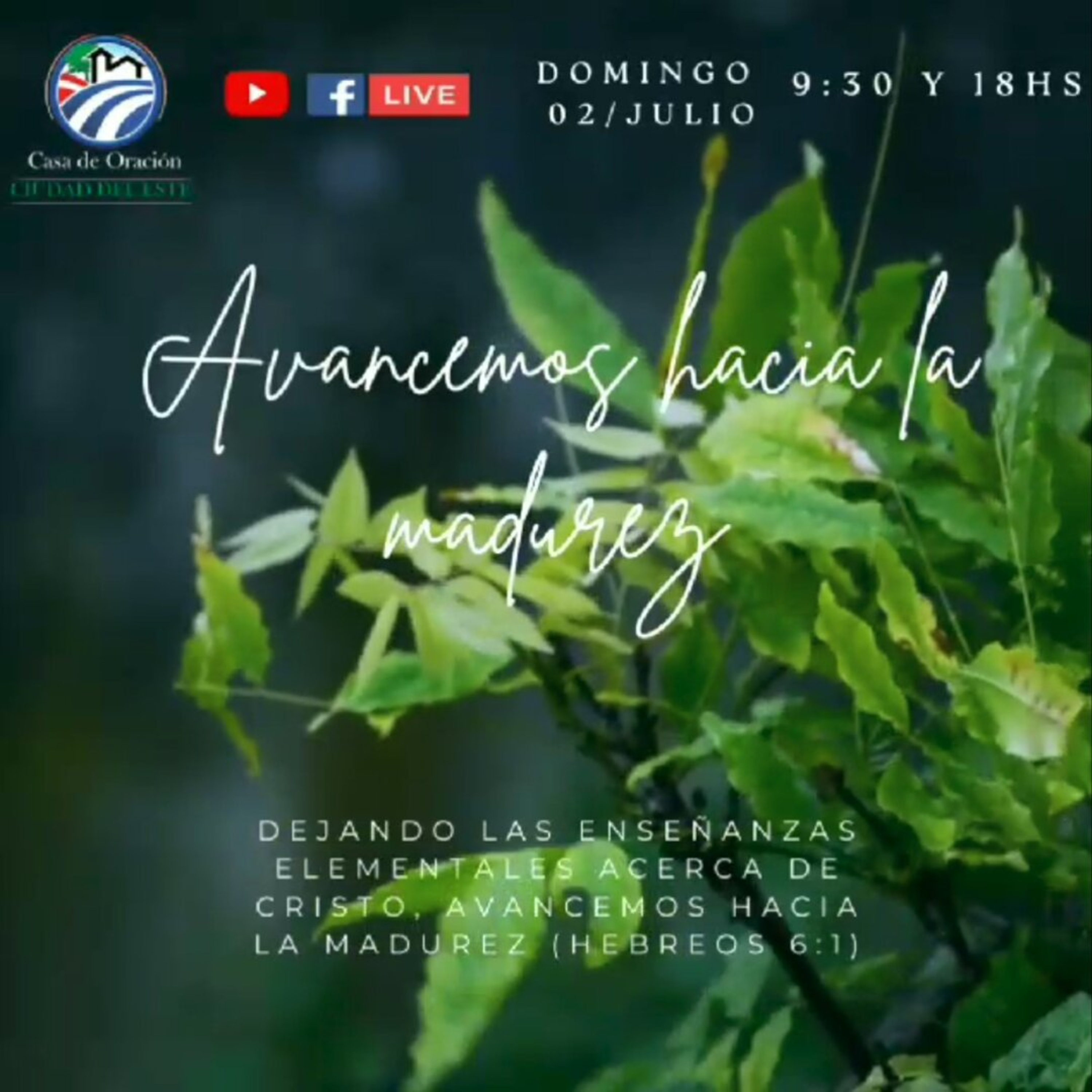  AVANCEMOS HACIA LA MADUREZ | CARLOS CABALLERO episode artwork