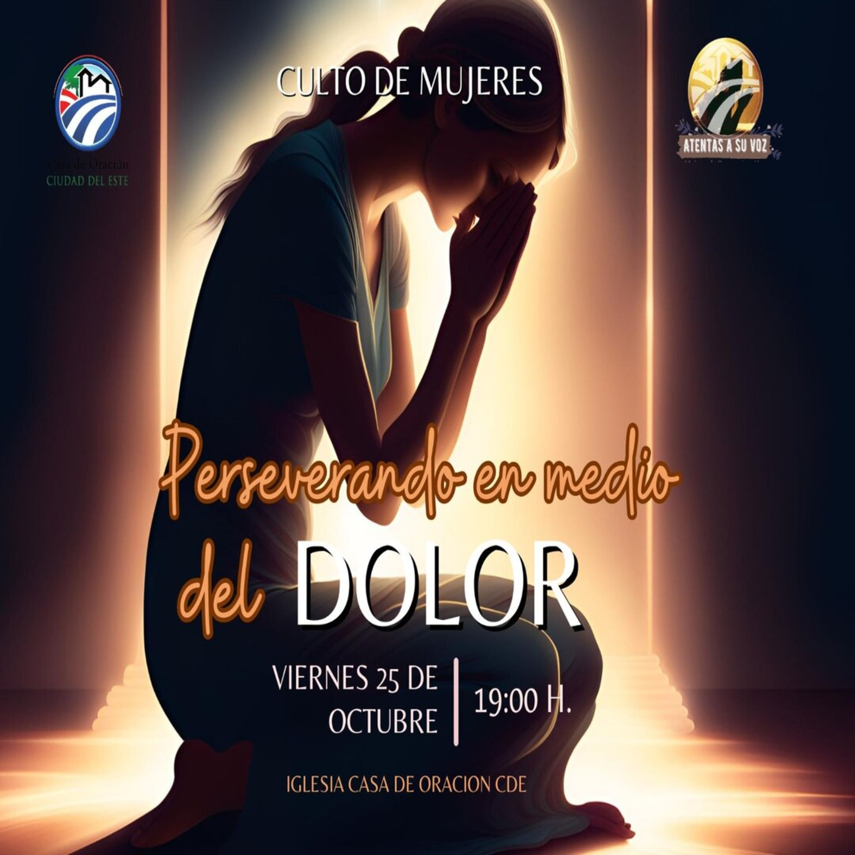 PERSEVERANDO EN MEDIO DEL DOLOR | ESVERILDI PAIVA  episode artwork