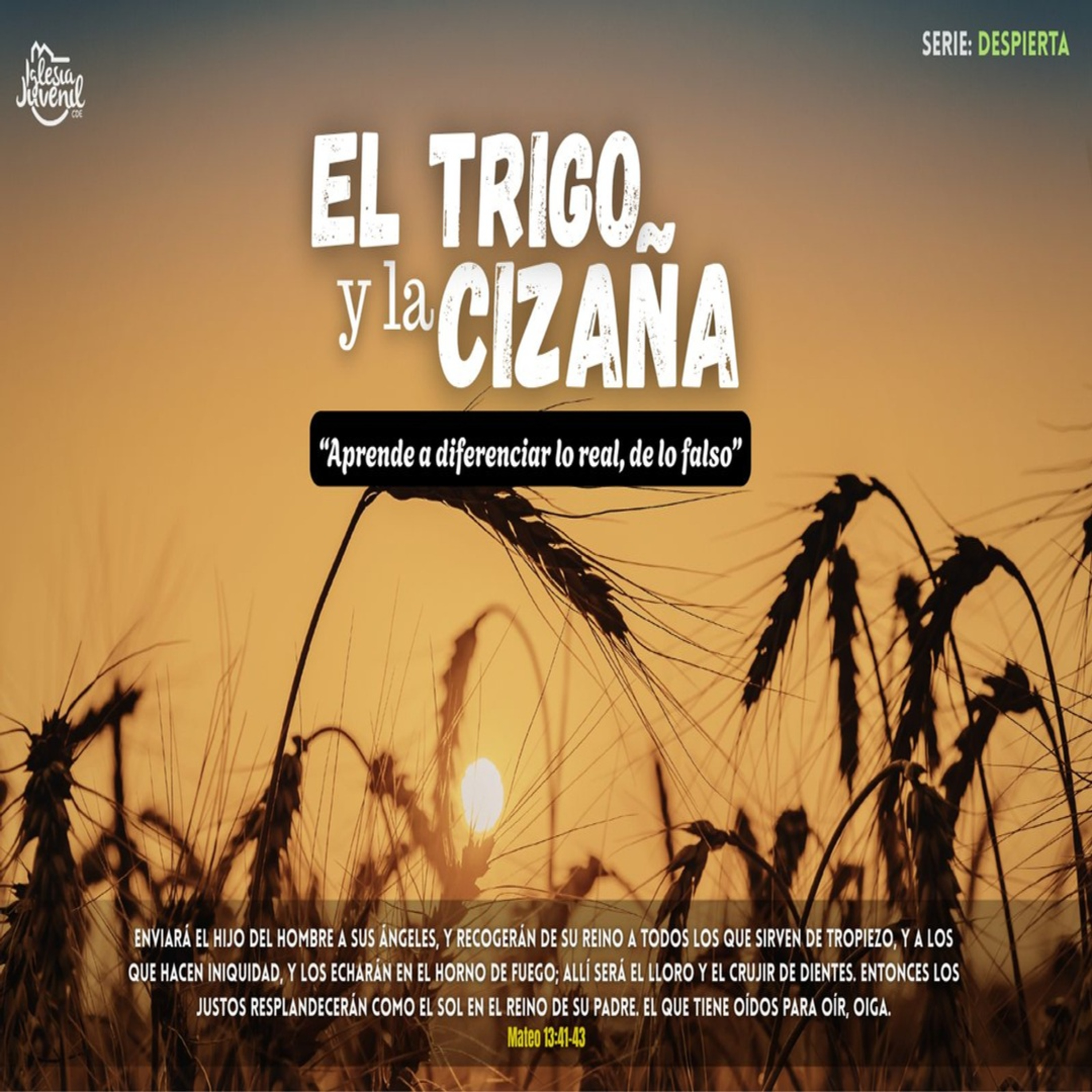 EL TRIGO Y LA CIZAÑA | PR. JONATHAN FLORES episode artwork