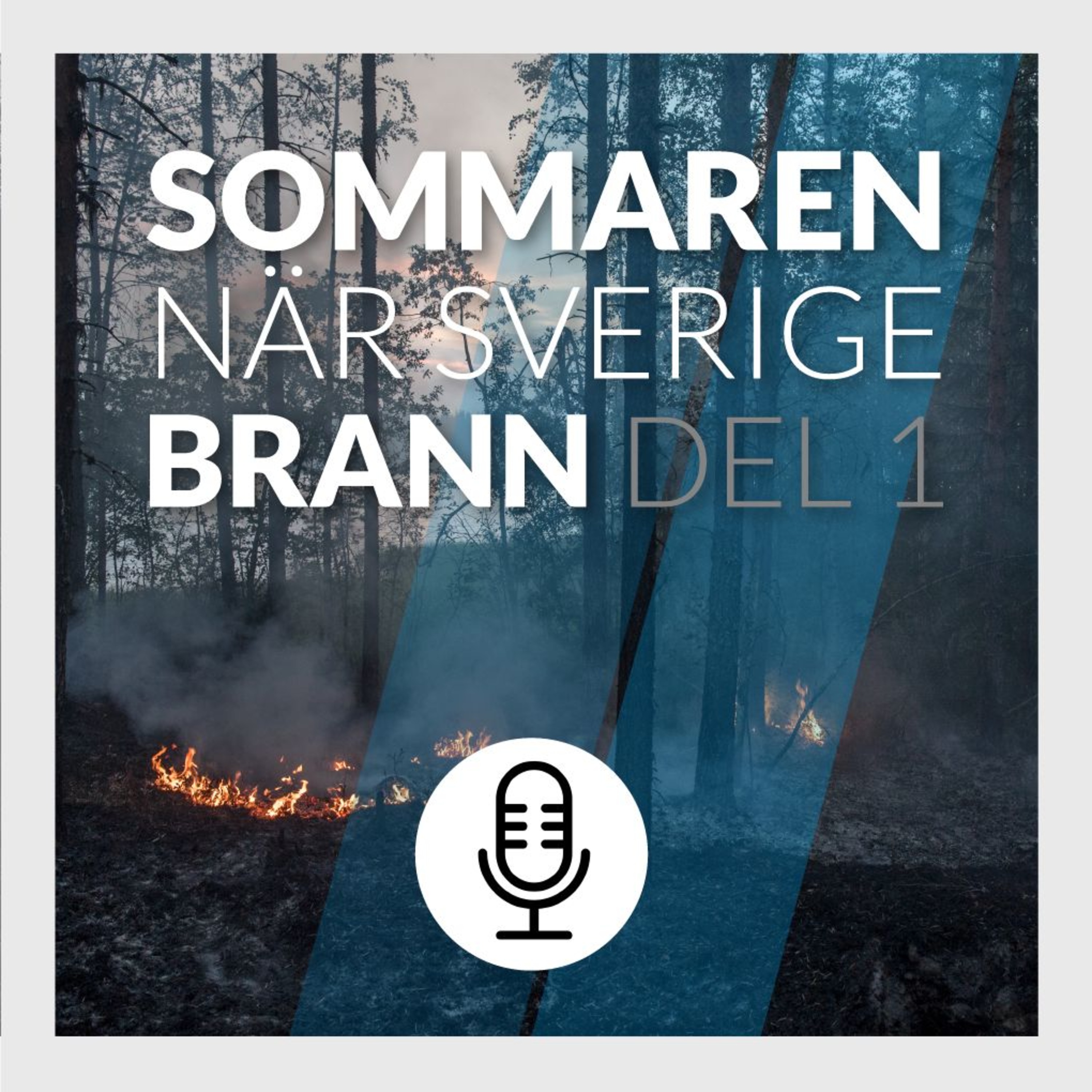 Folk och Försvar-podden