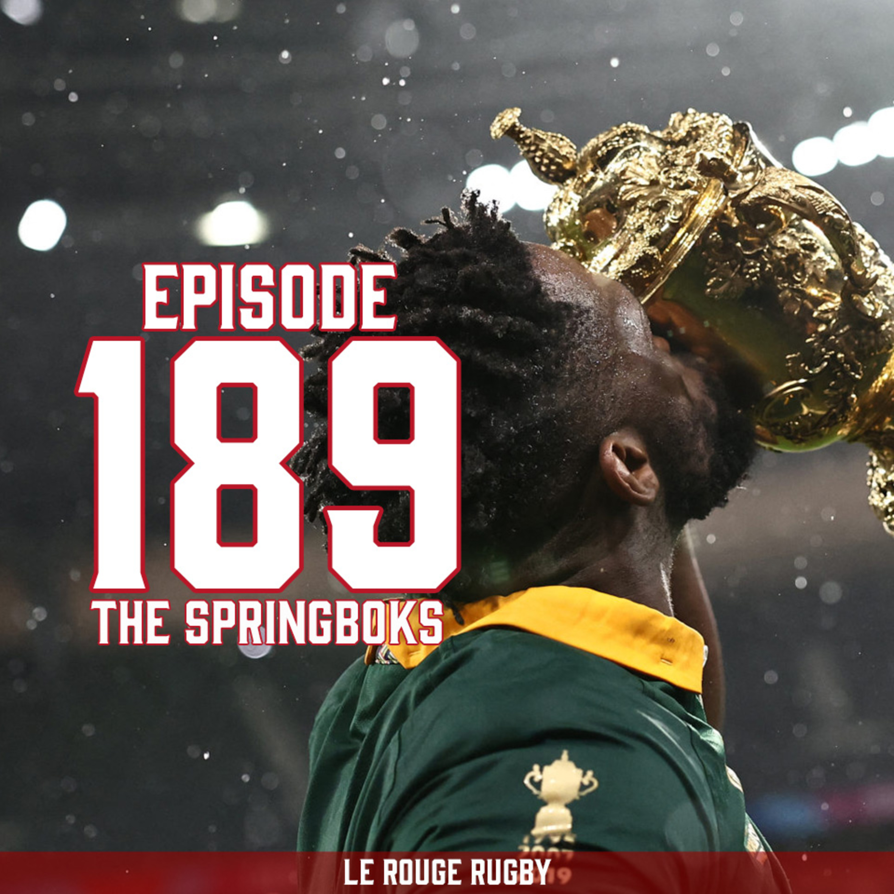 Episode 189: The Springboks