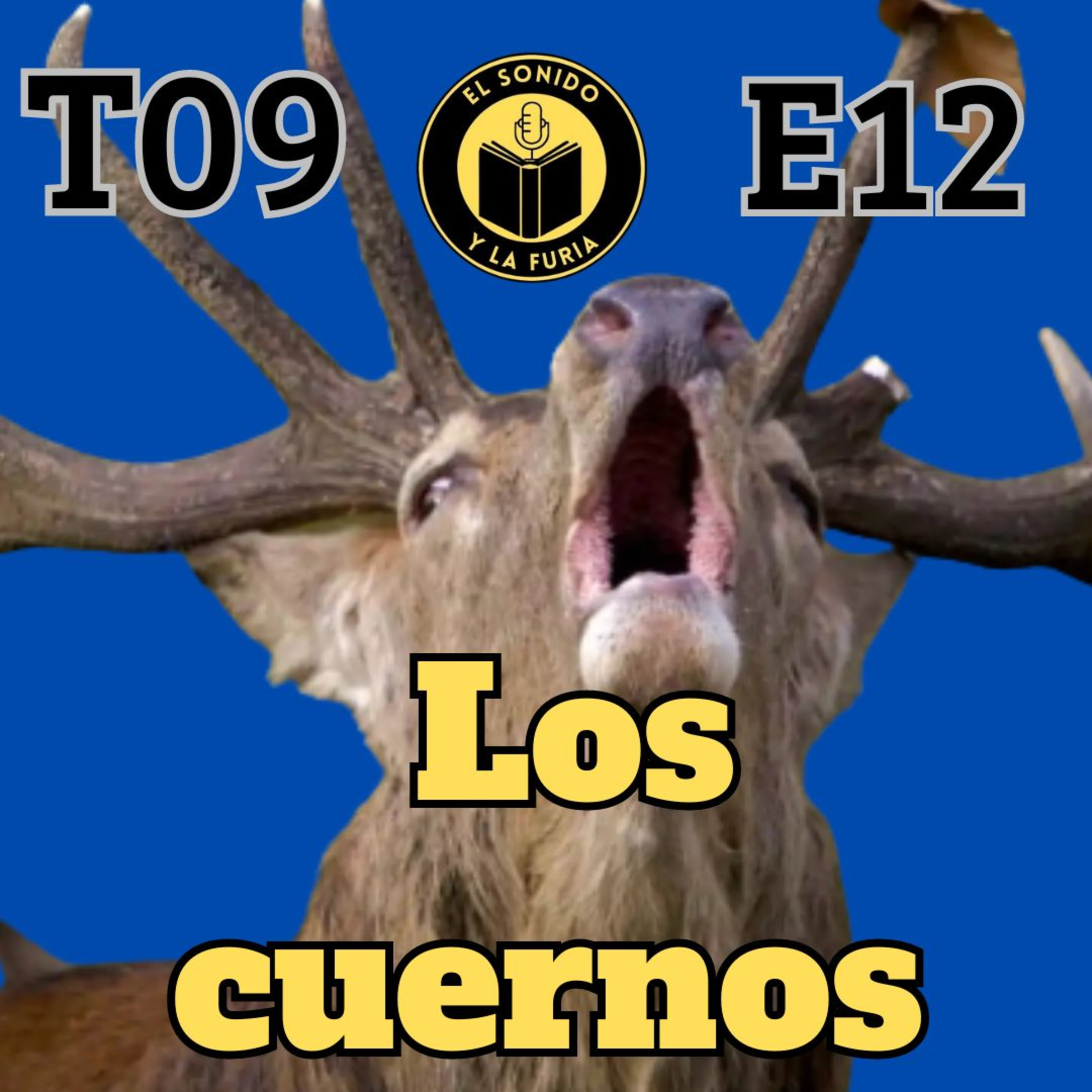 El Sonido y La Furia