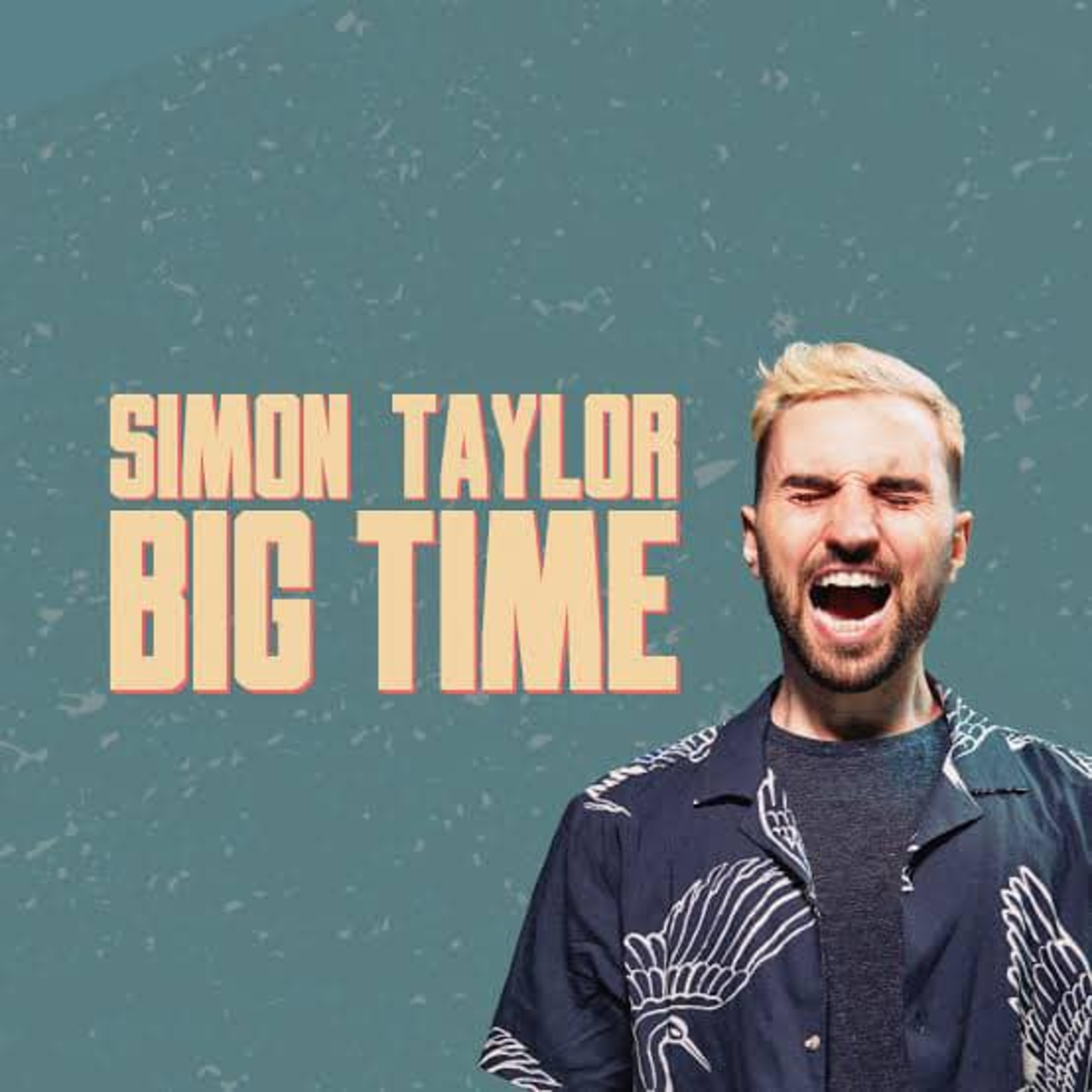 Simon Taylor episode artwork