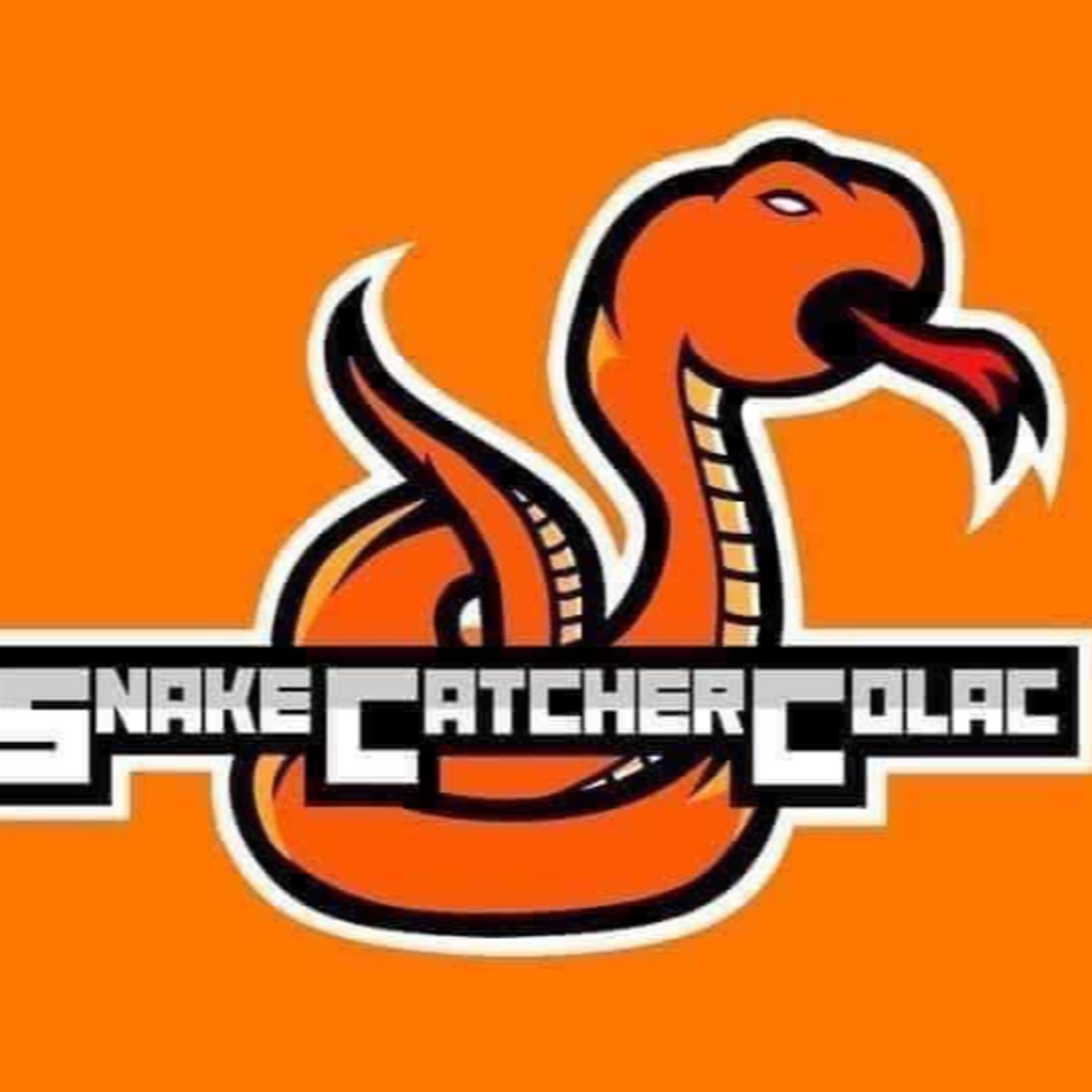 Snake Season episode artwork